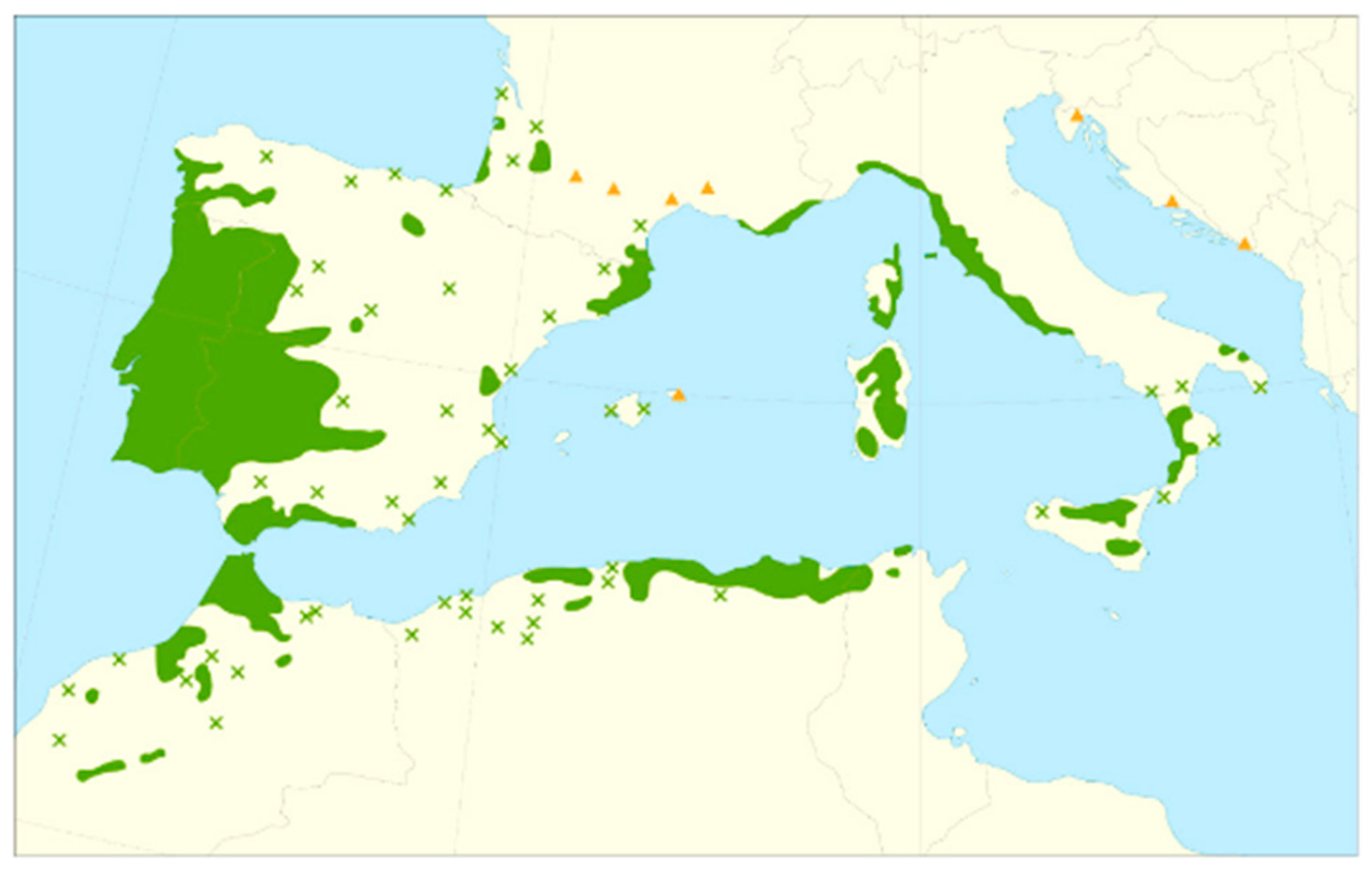 Diversity 17 00420 g001