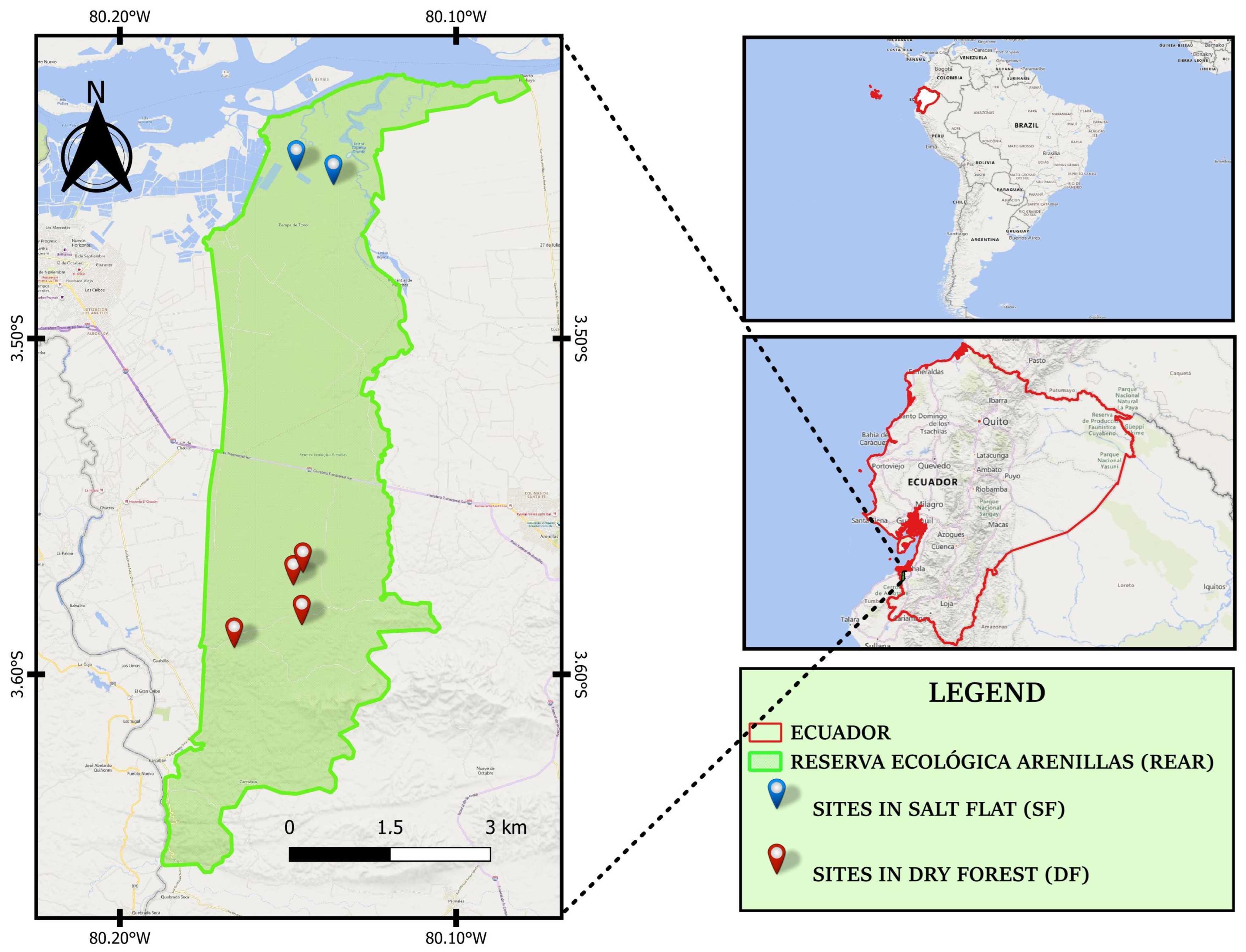 Diversity 17 00422 g001