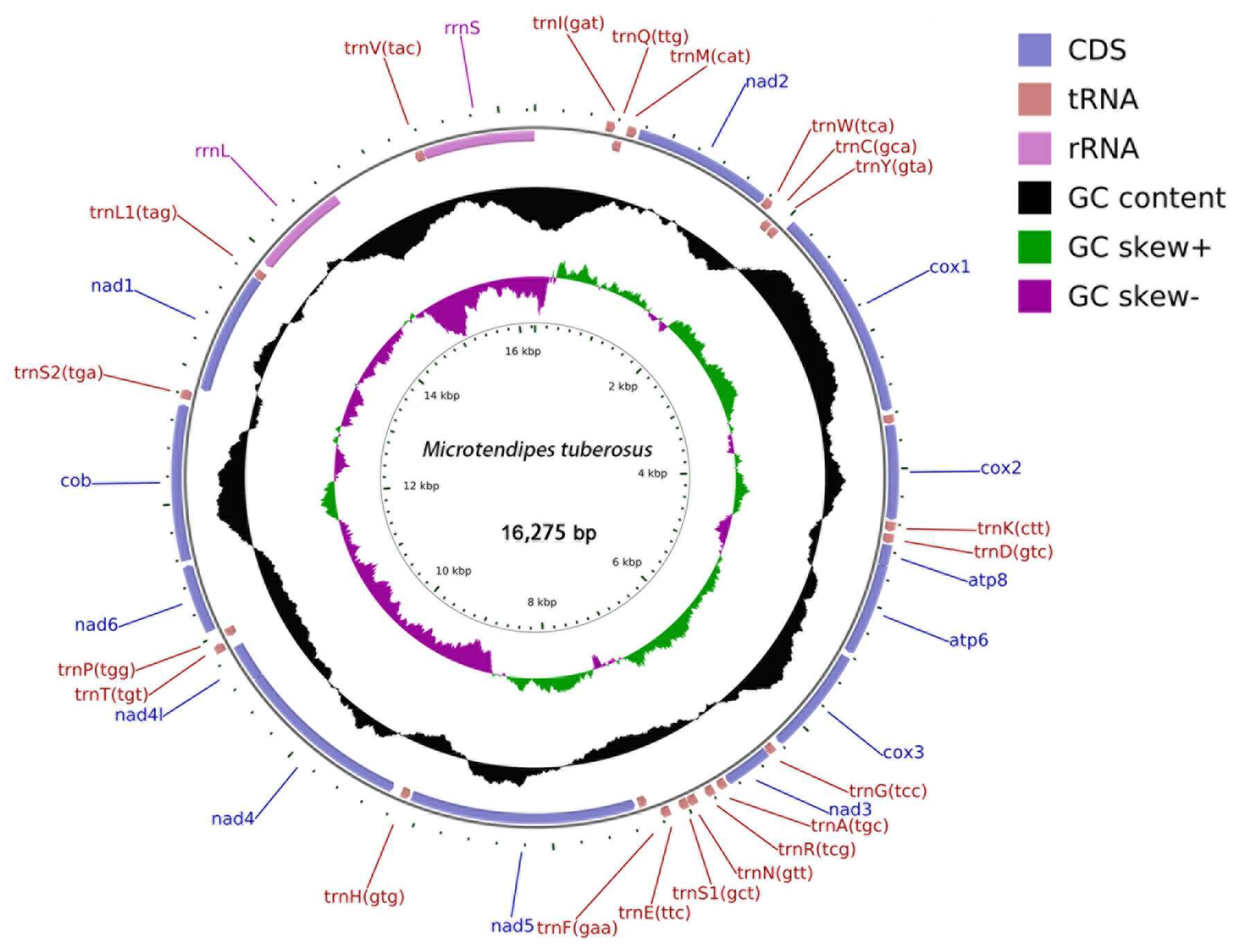 Diversity 17 00424 g001