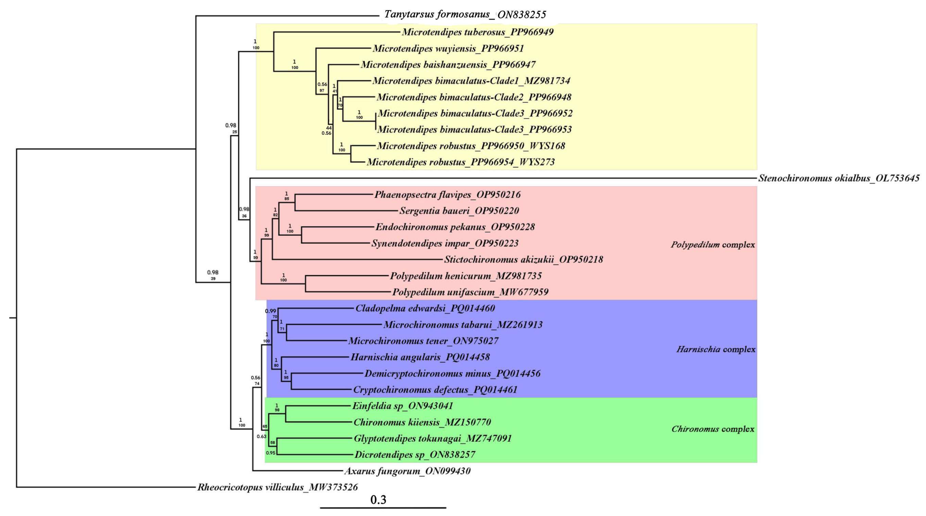 Diversity 17 00424 g004