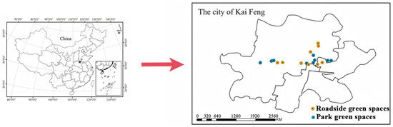 K&M Engineered osteoclasts as living treatment materials for