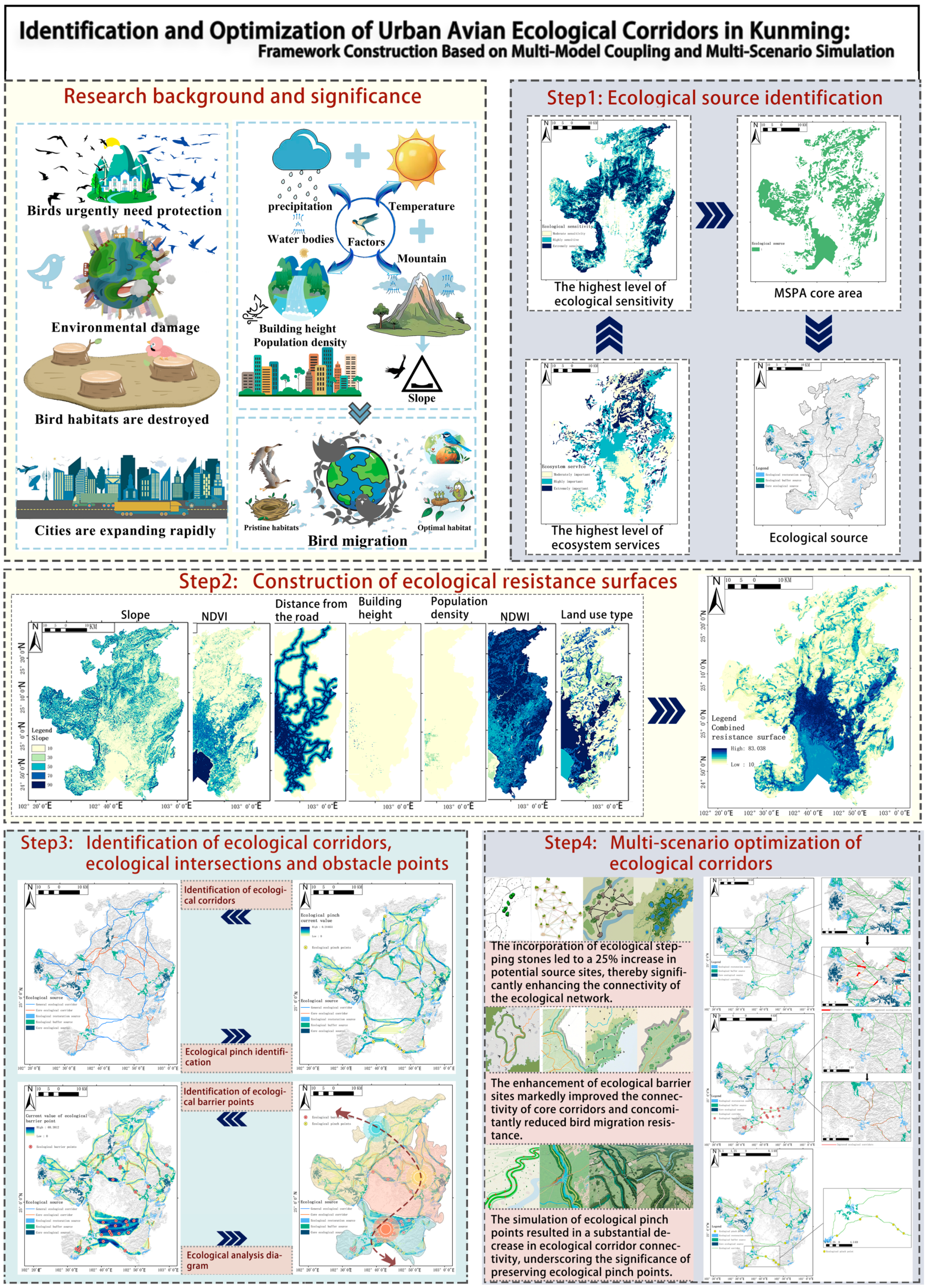 Diversity 17 00427 g002