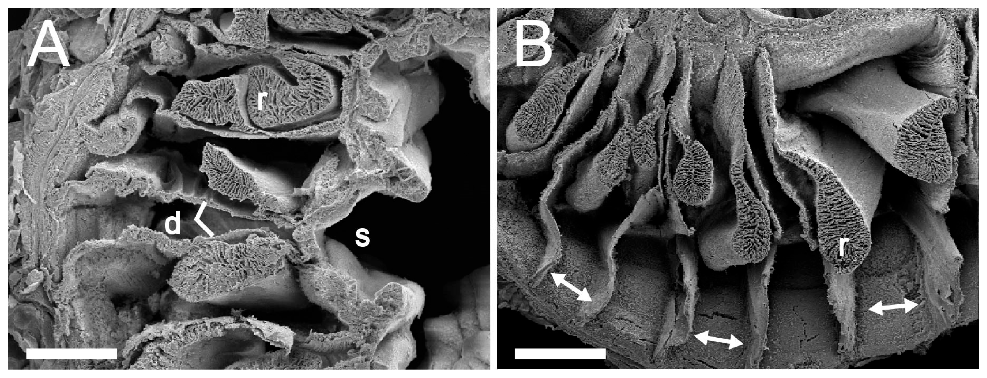 Diversity 17 00430 g005