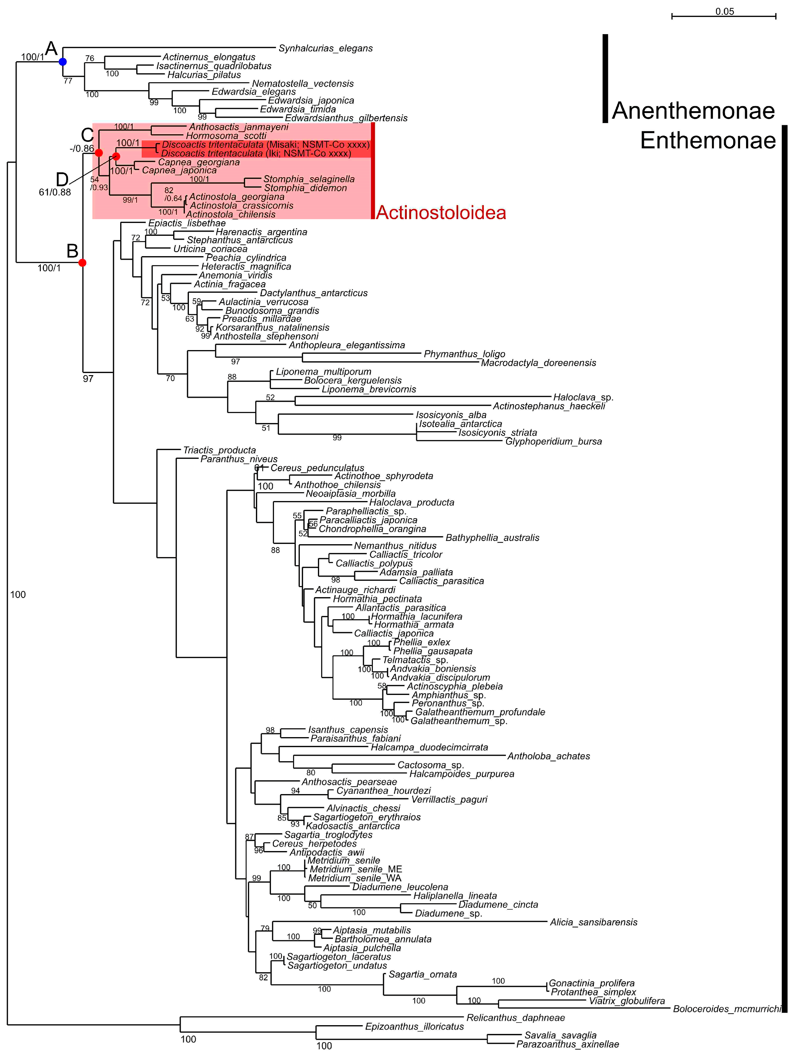 Diversity 17 00430 g006