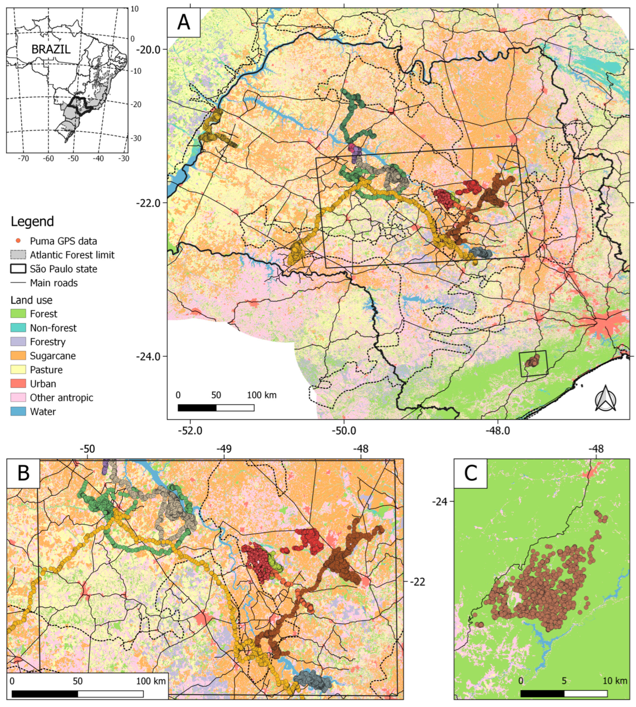 Diversity 17 00435 g001