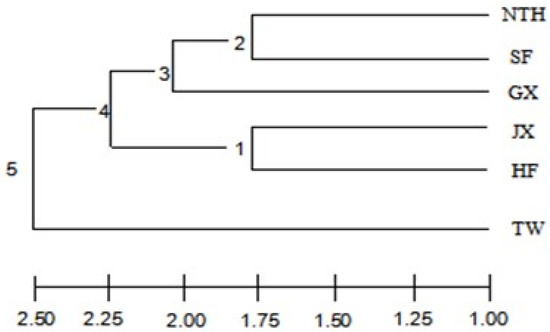 tw Cancer Stem Cells, Quo Vadis? The Notch Signaling Pathway in