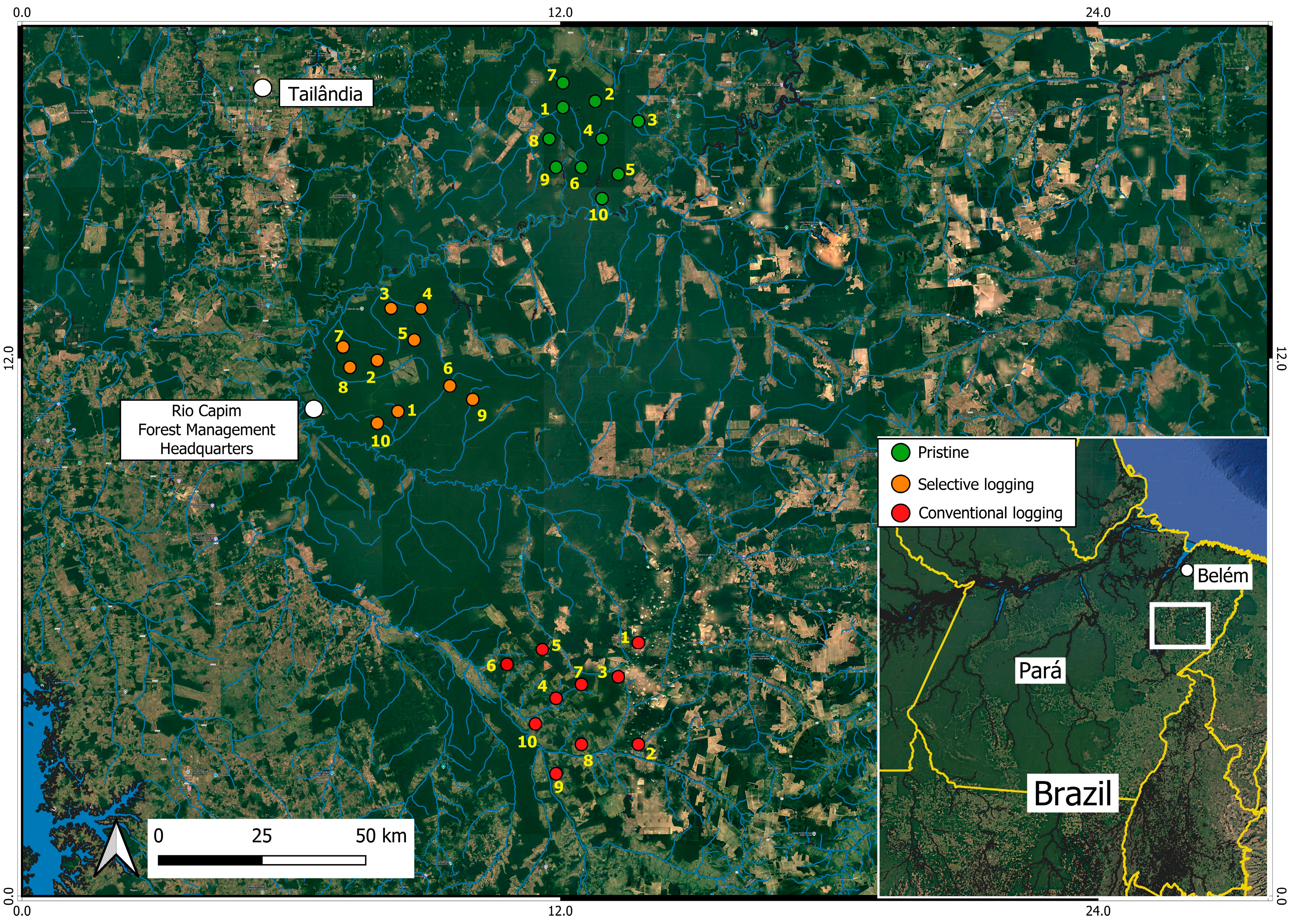 Diversity 17 00438 g001
