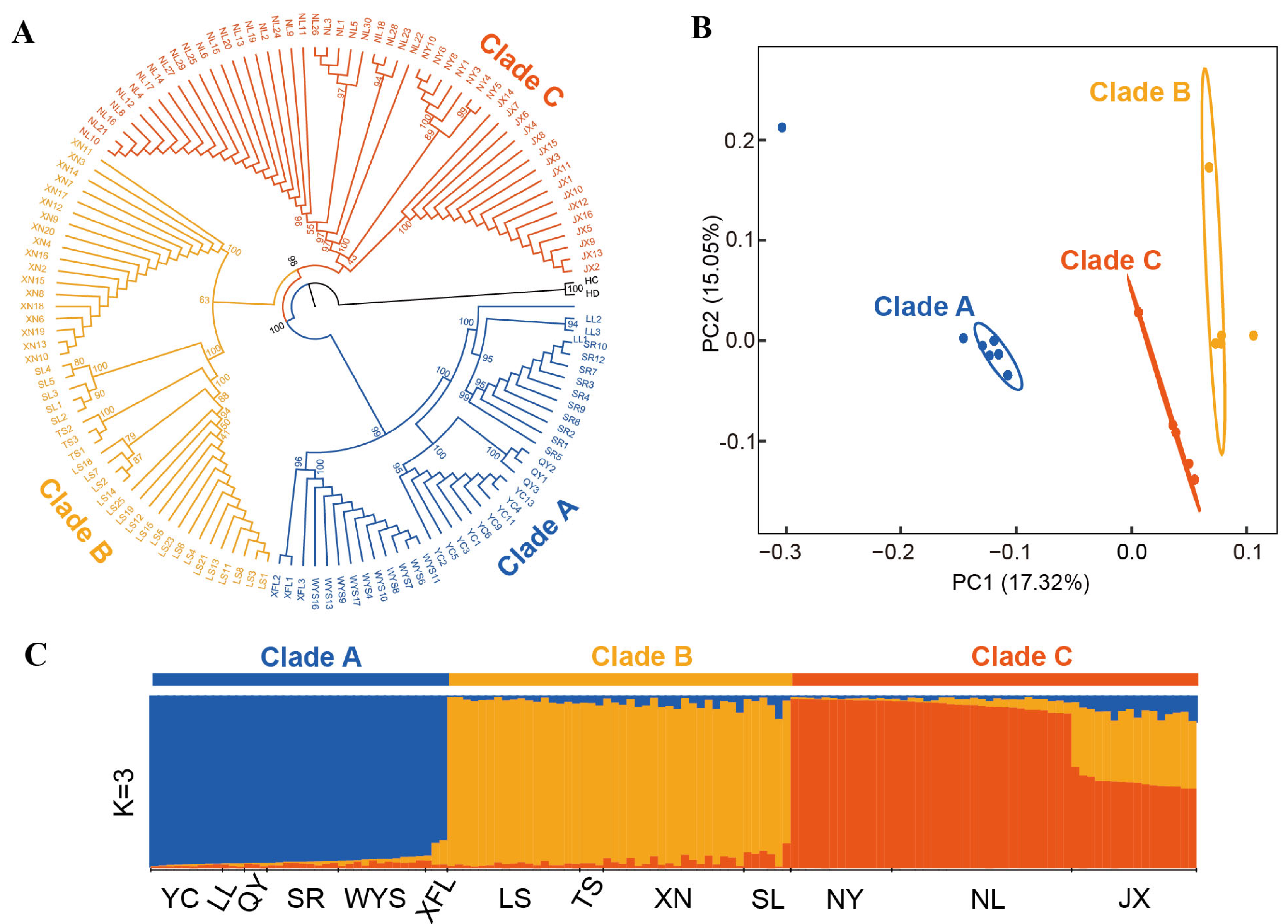 Diversity 17 00439 g004