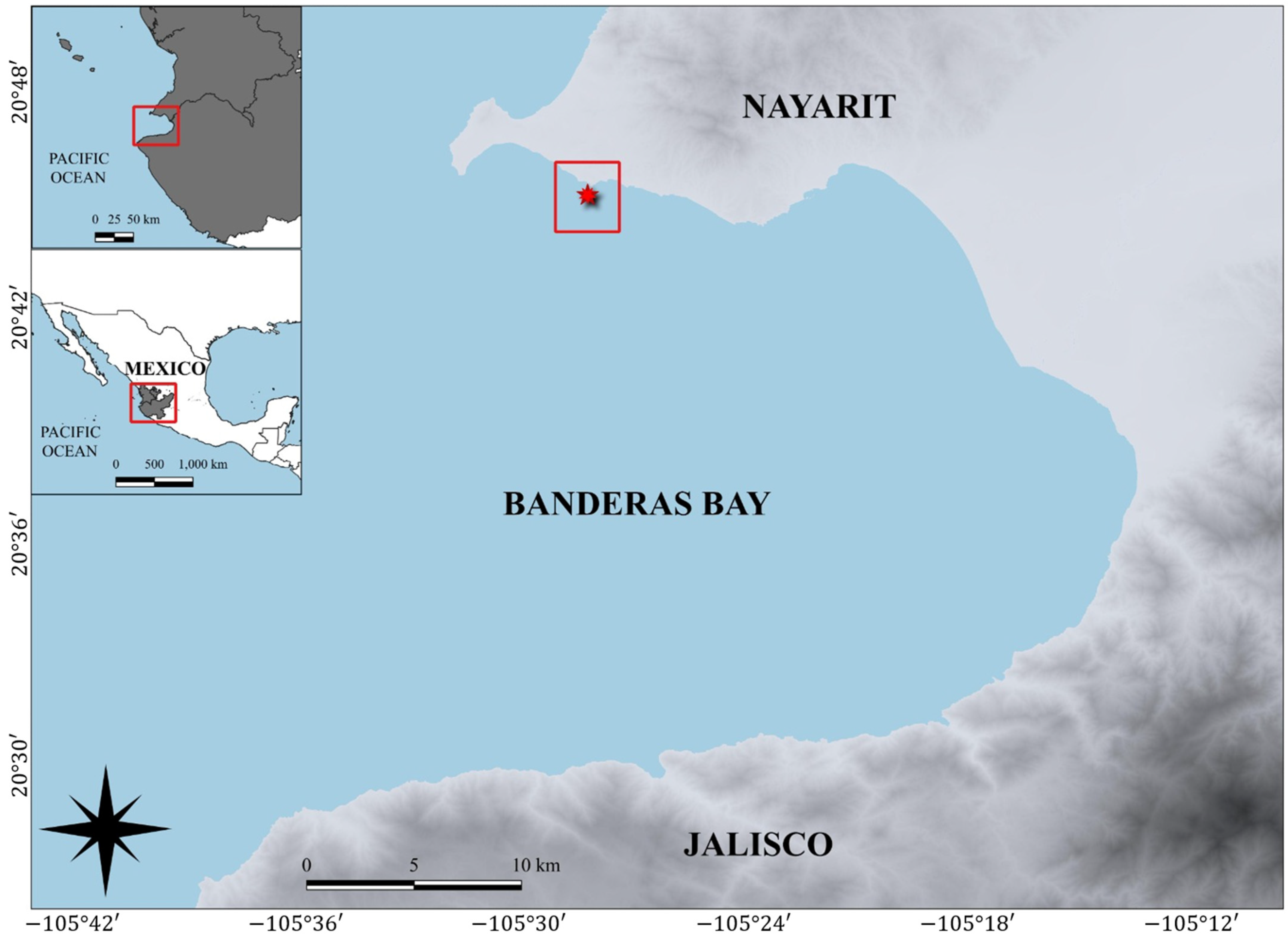 Diversity 17 00440 g001