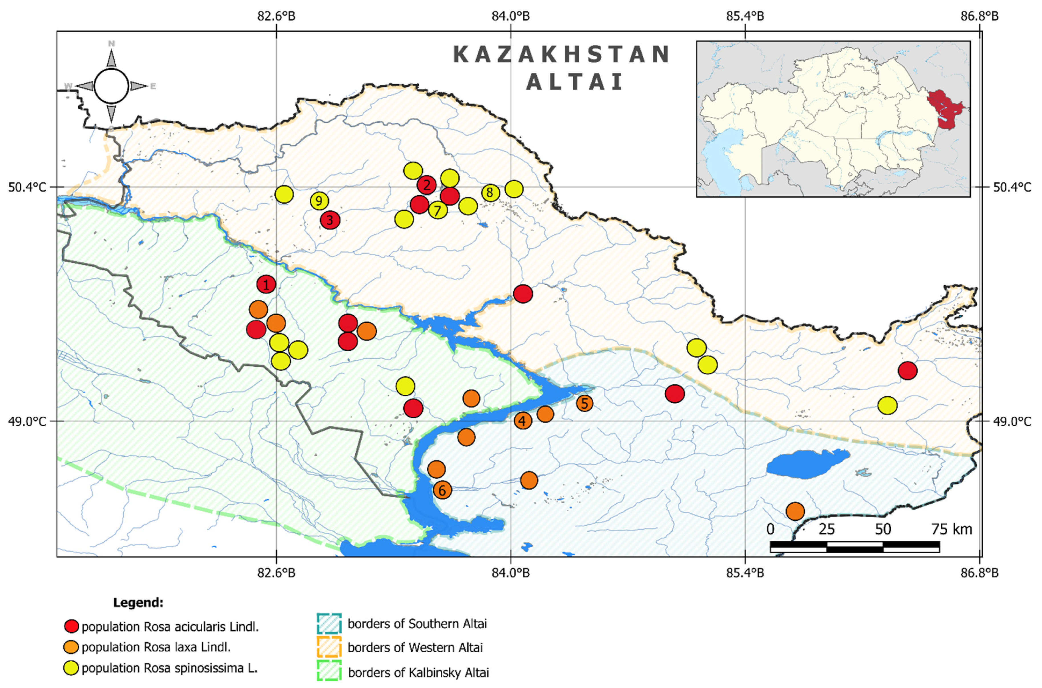 Diversity 17 00441 g001