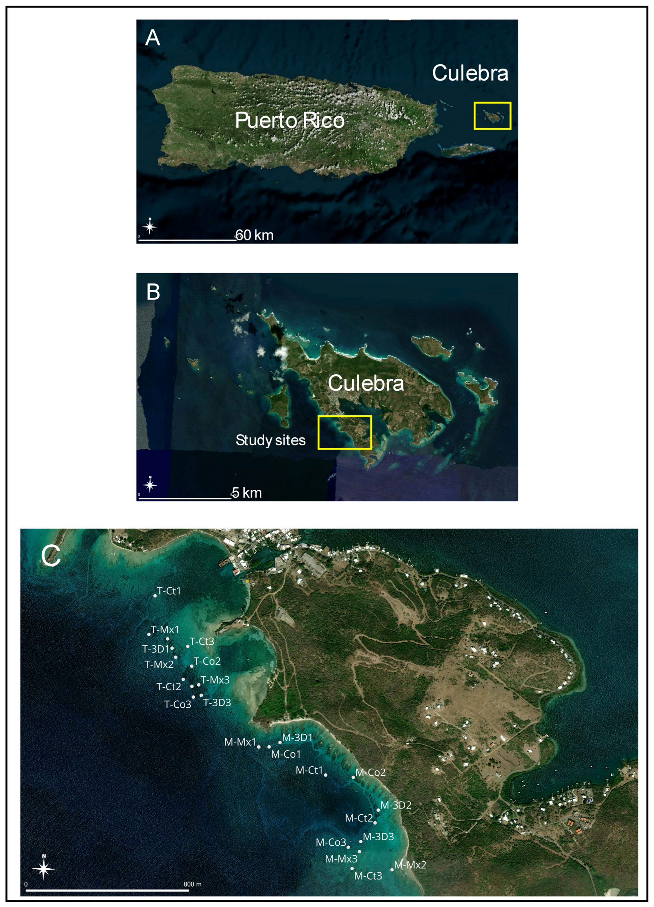 Diversity 17 00445 g001