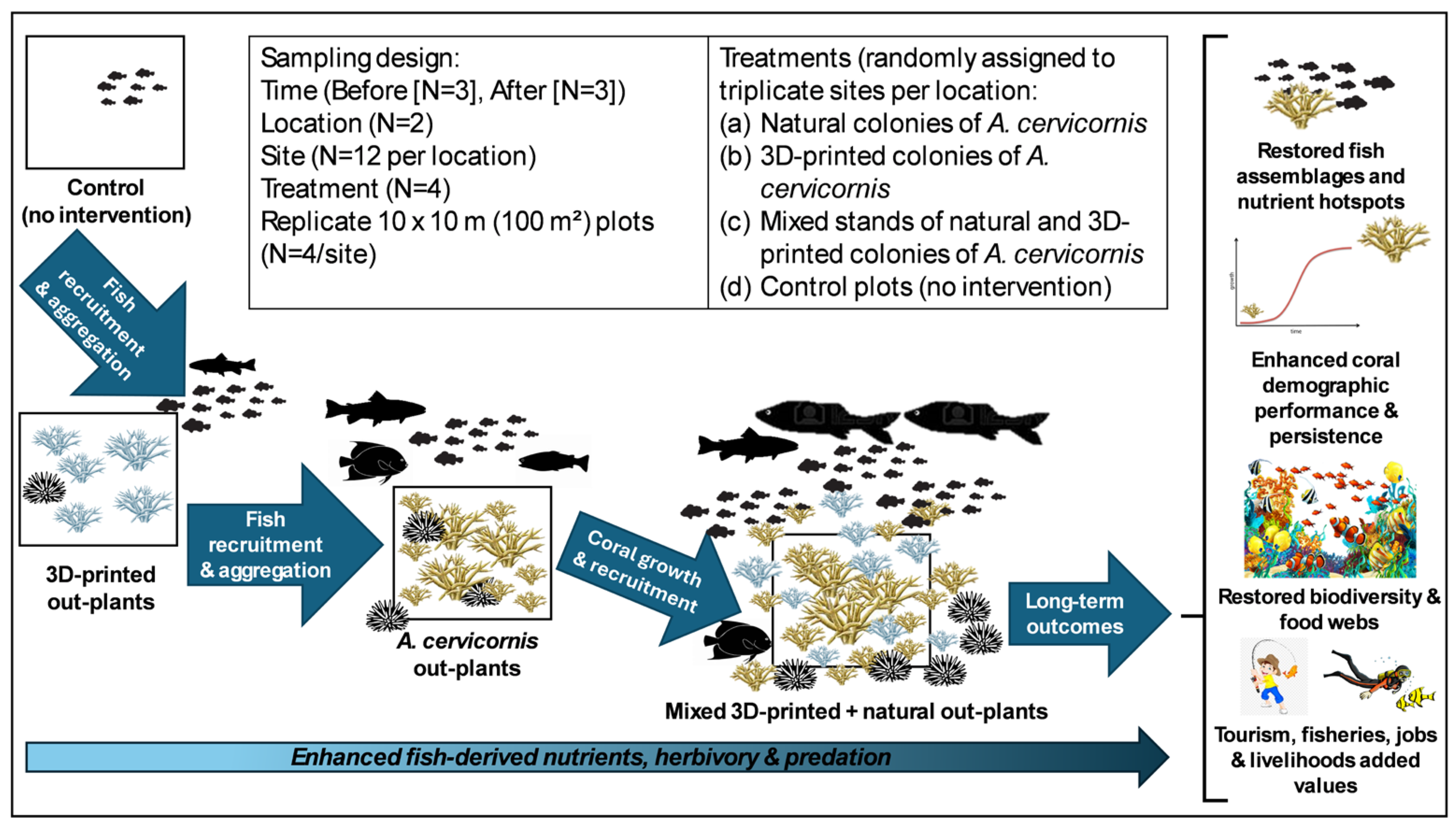 Diversity 17 00445 g002