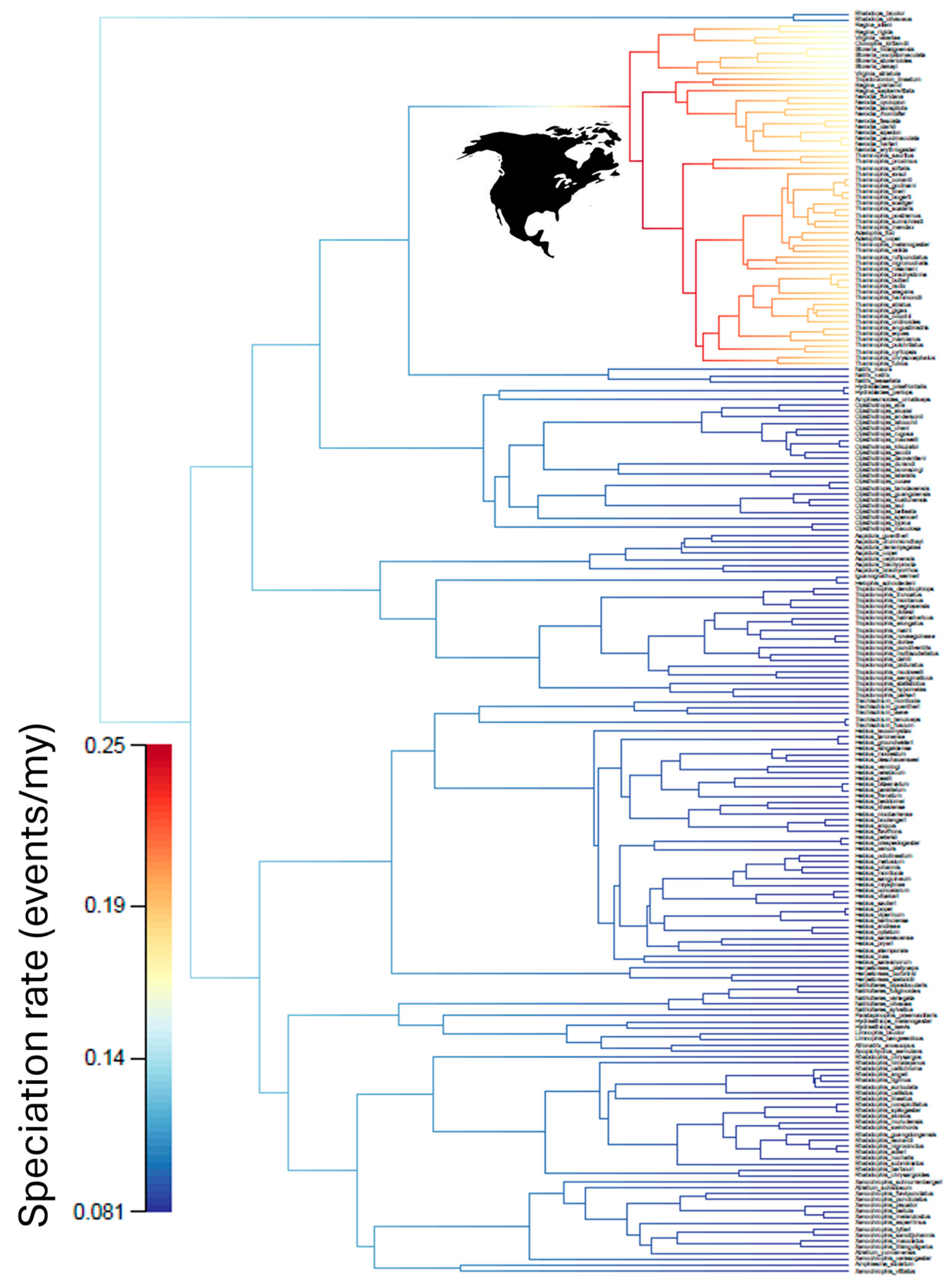 Diversity 17 00449 g001