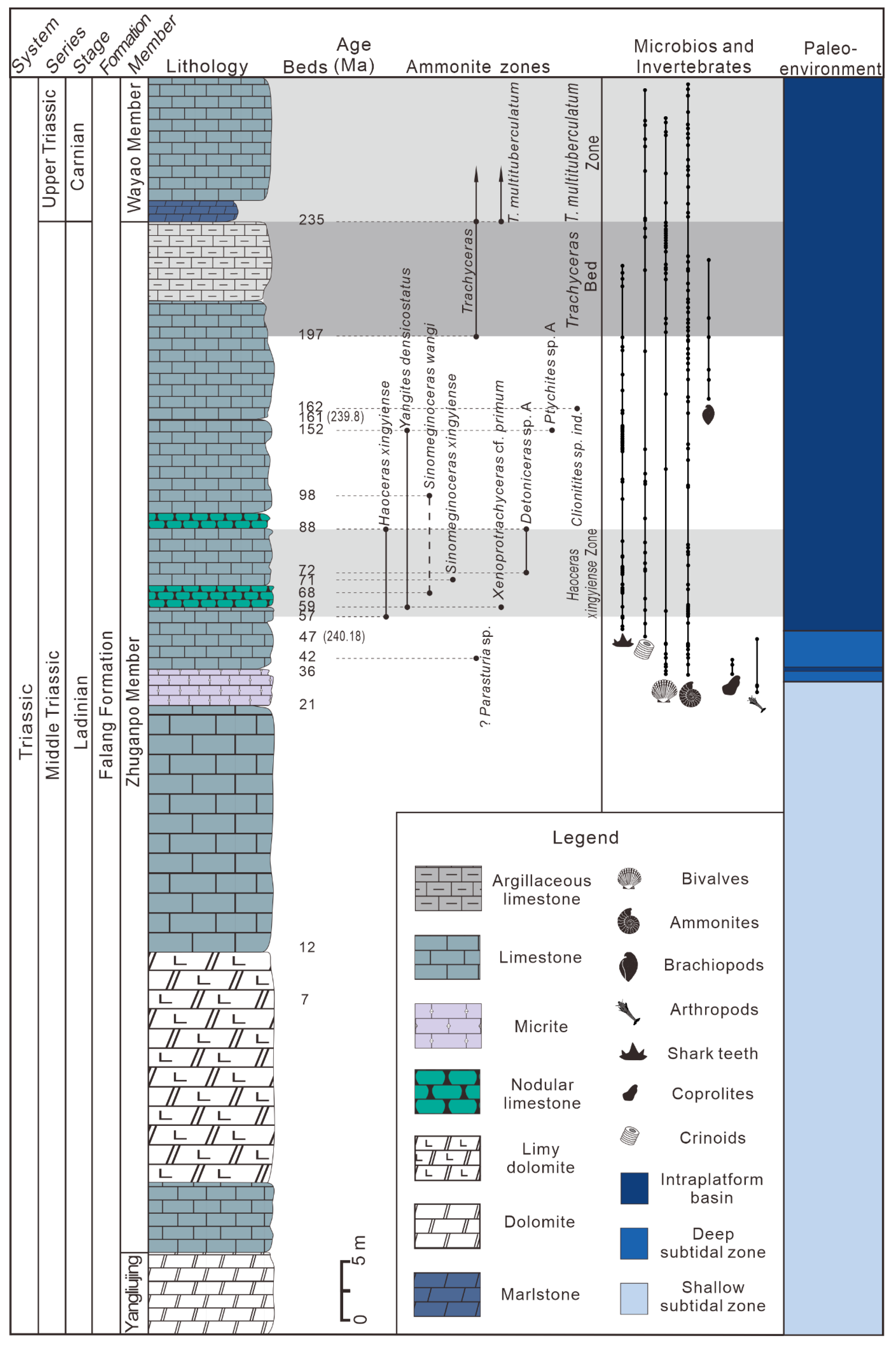 Diversity 17 00453 g002