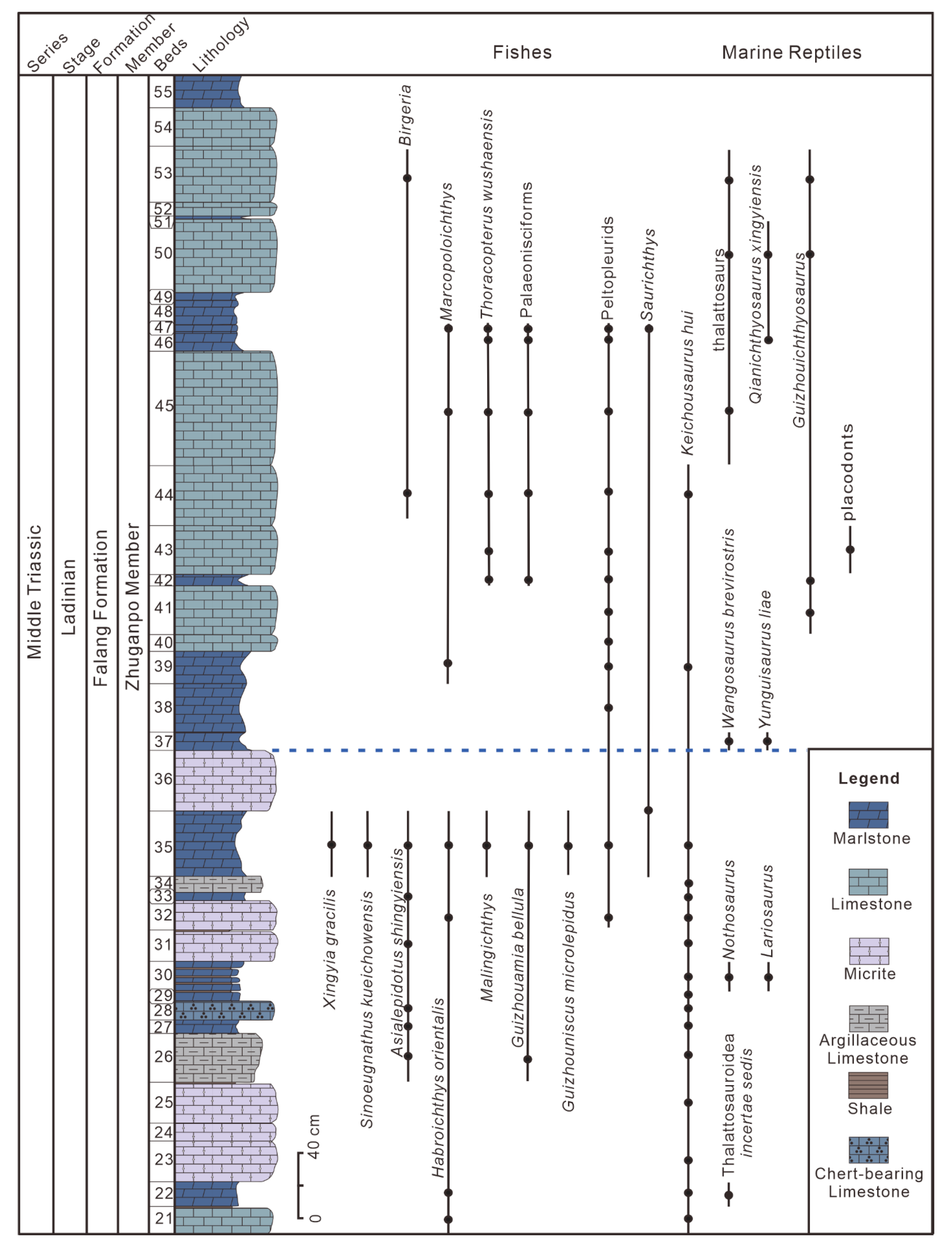 Diversity 17 00453 g003