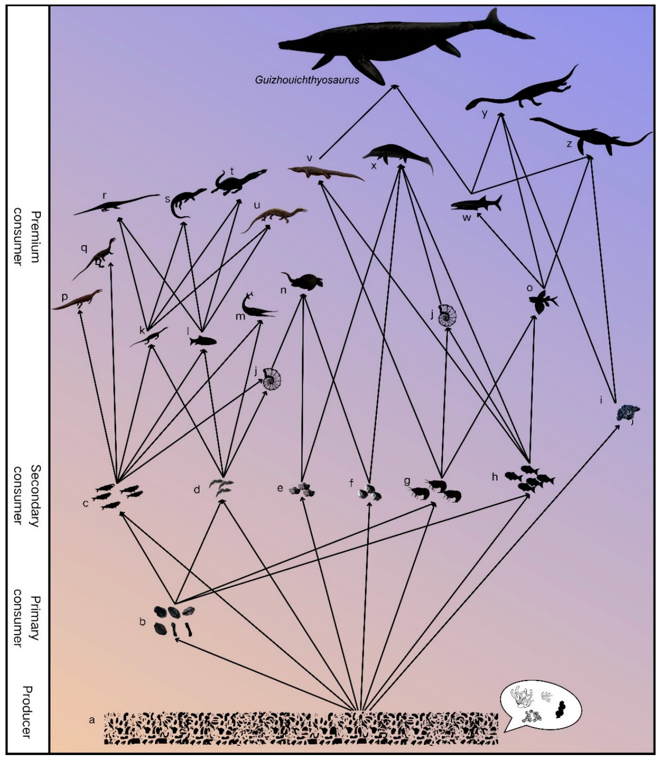Diversity 17 00453 g006