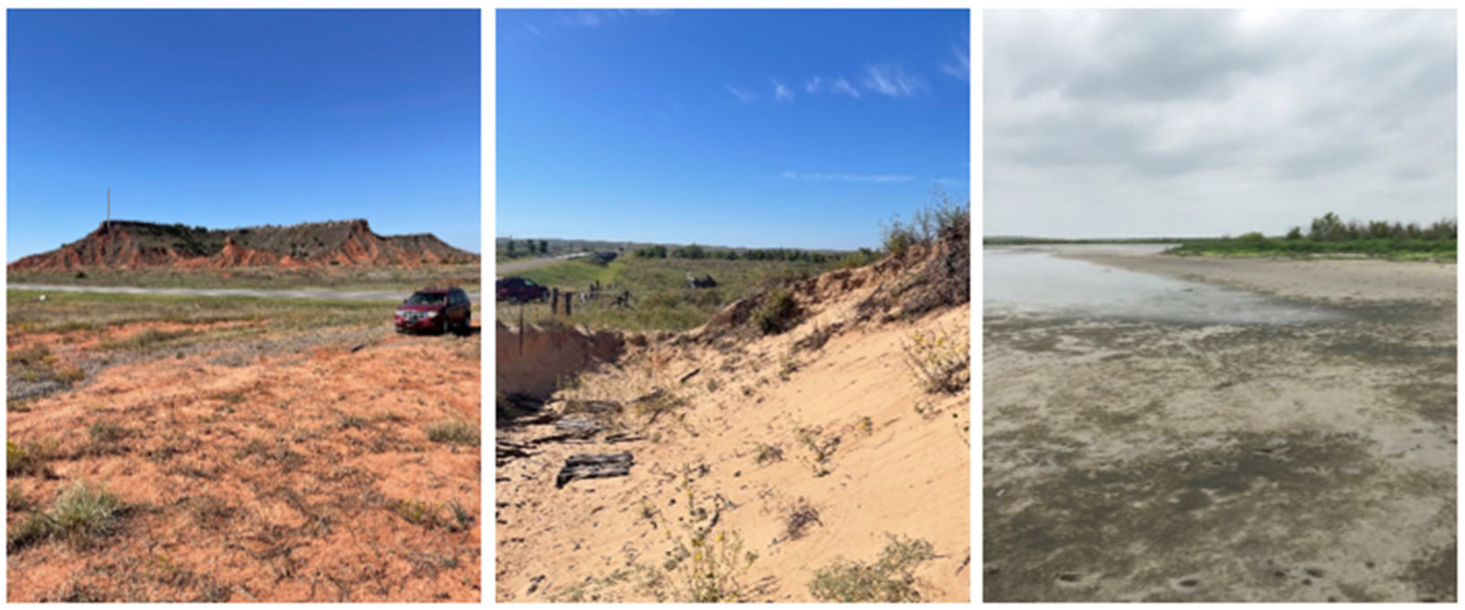 Diversity 17 00463 g002