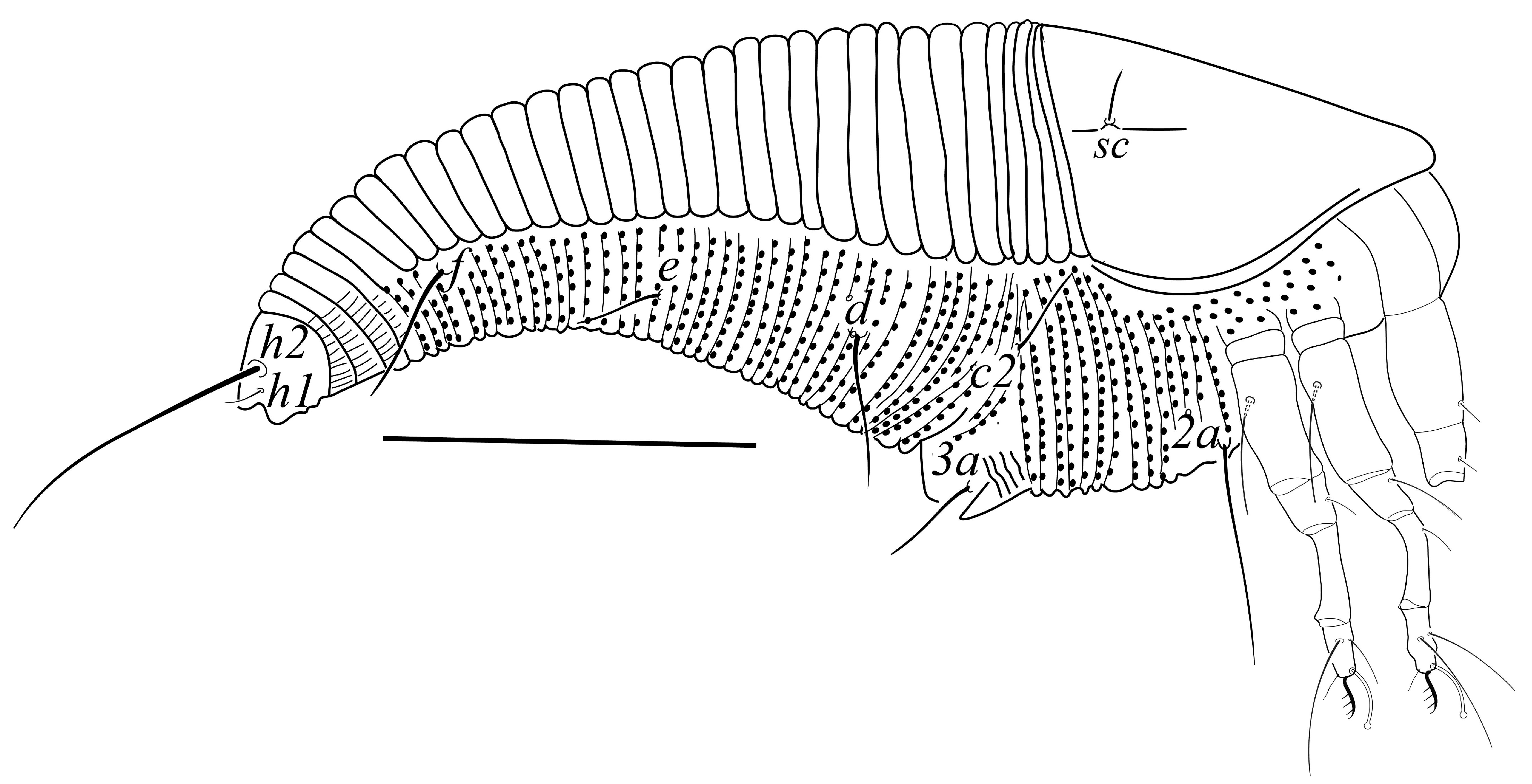 Diversity 17 00465 g002