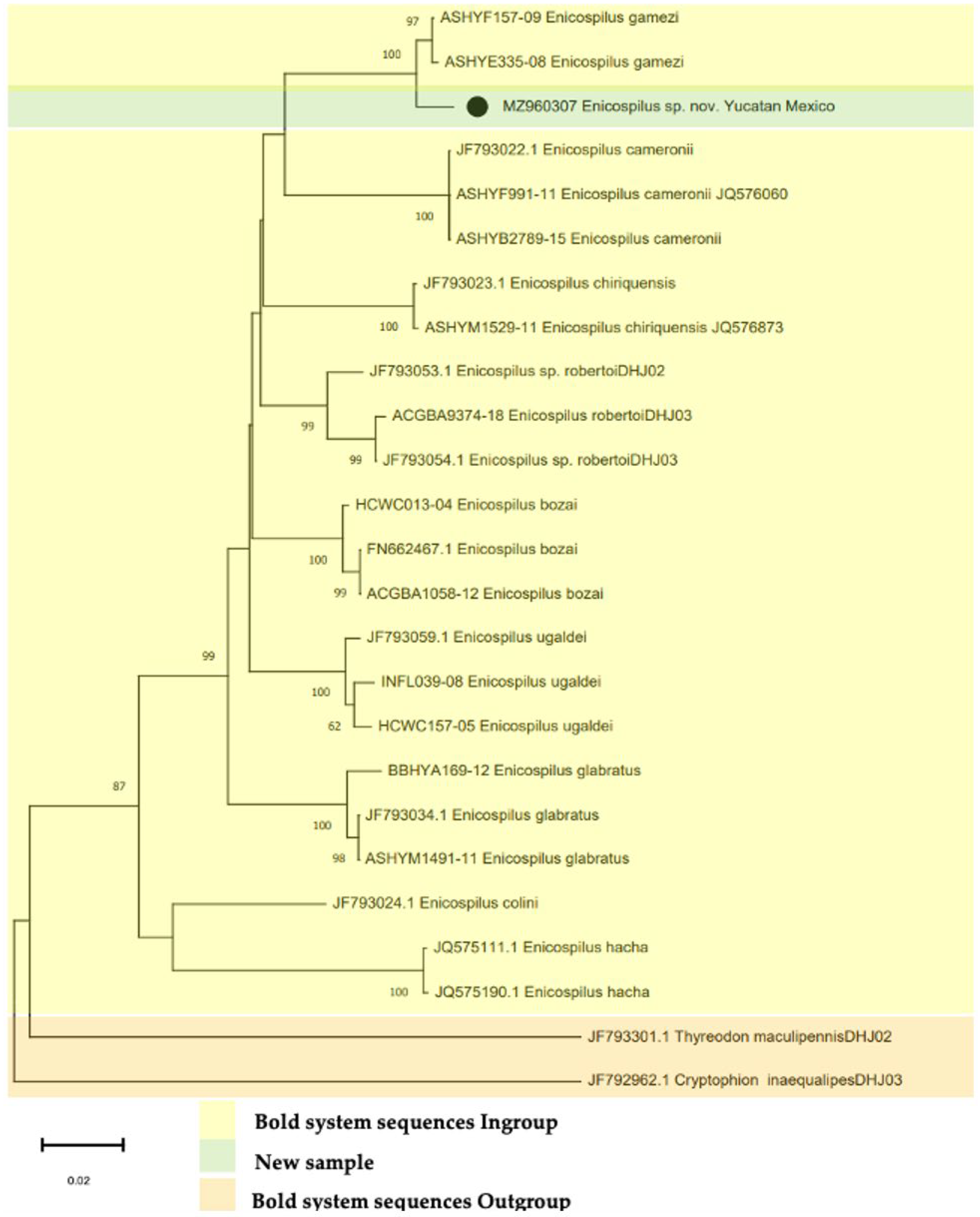 Diversity 17 00466 g005