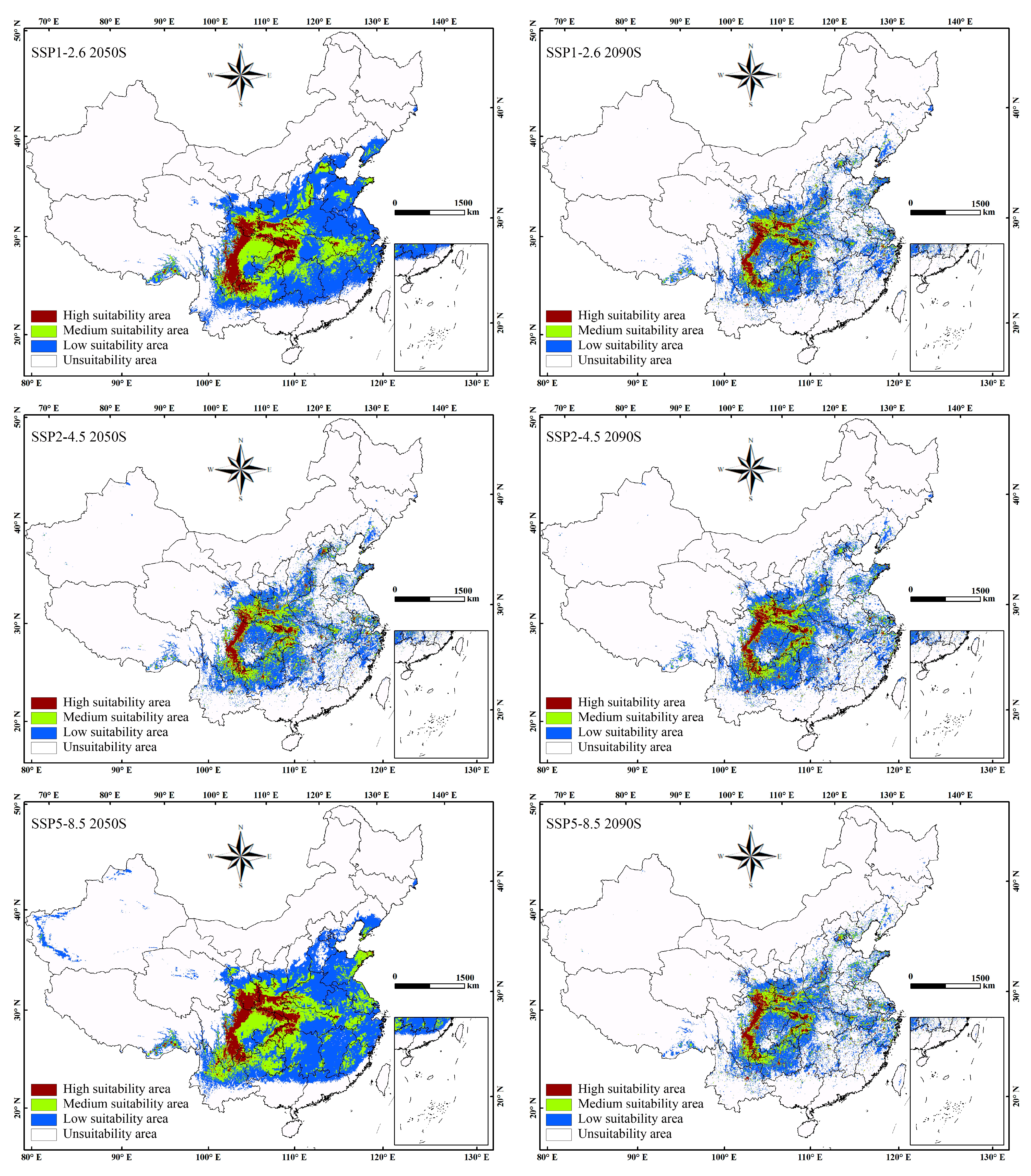 Diversity 17 00467 g005