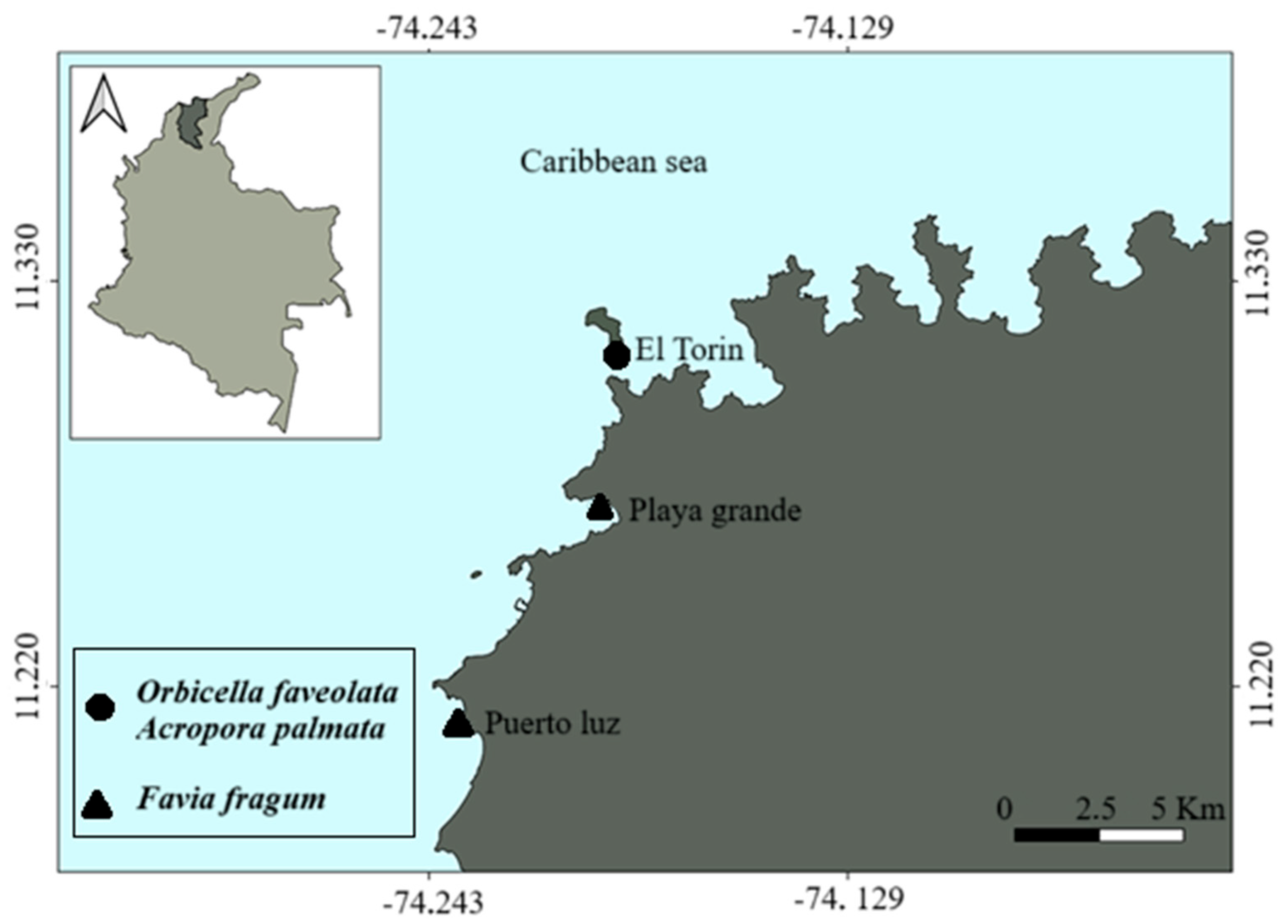 Diversity 17 00468 g001