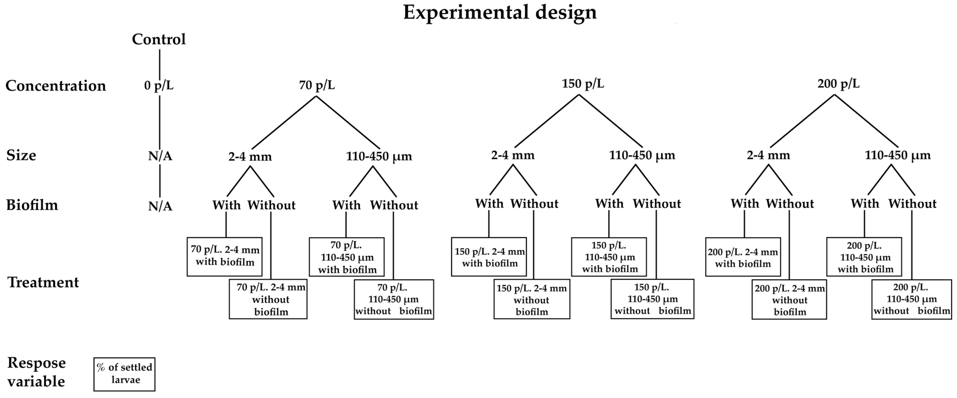 Diversity 17 00468 g002