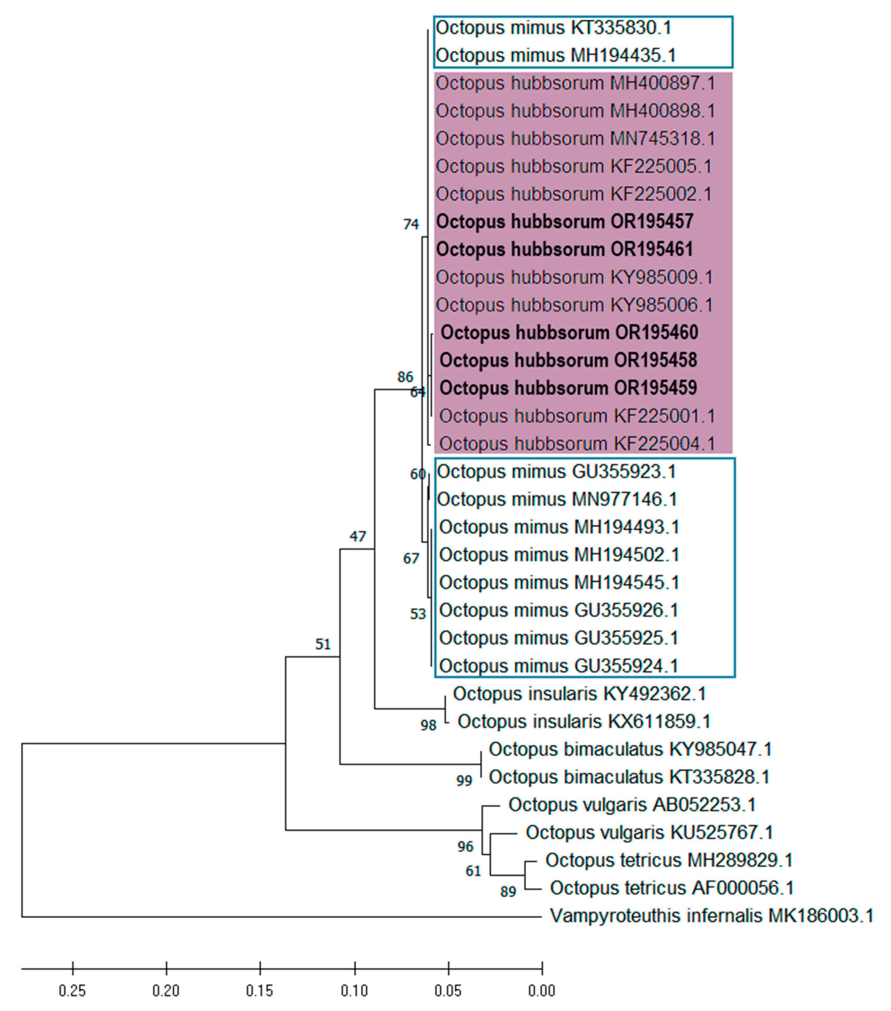 Diversity 17 00470 g009