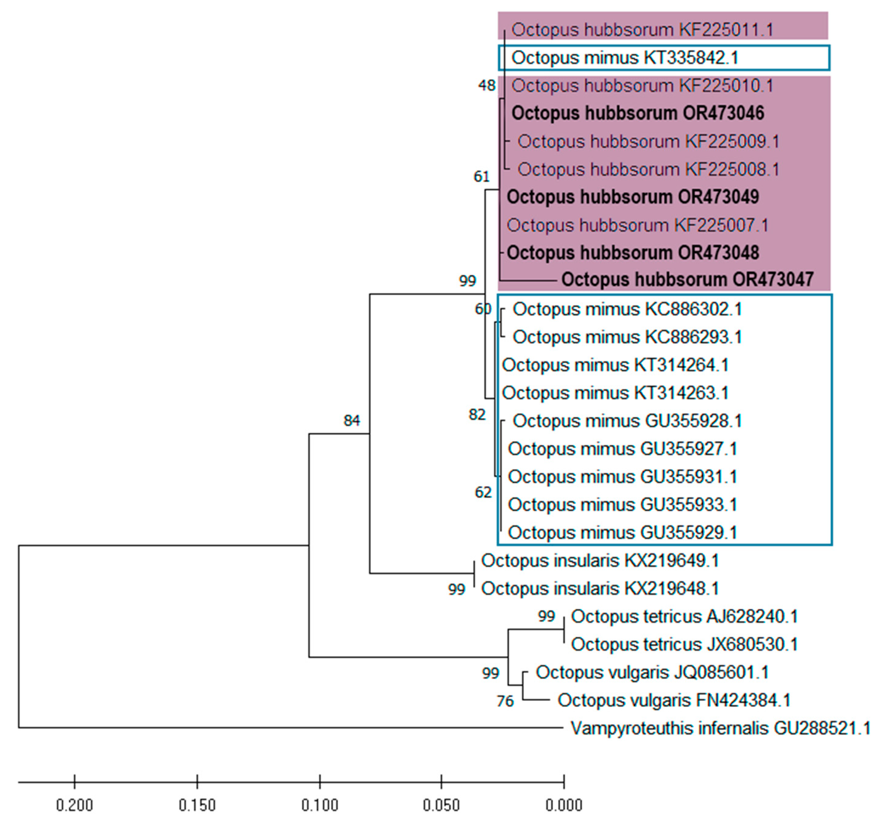 Diversity 17 00470 g010