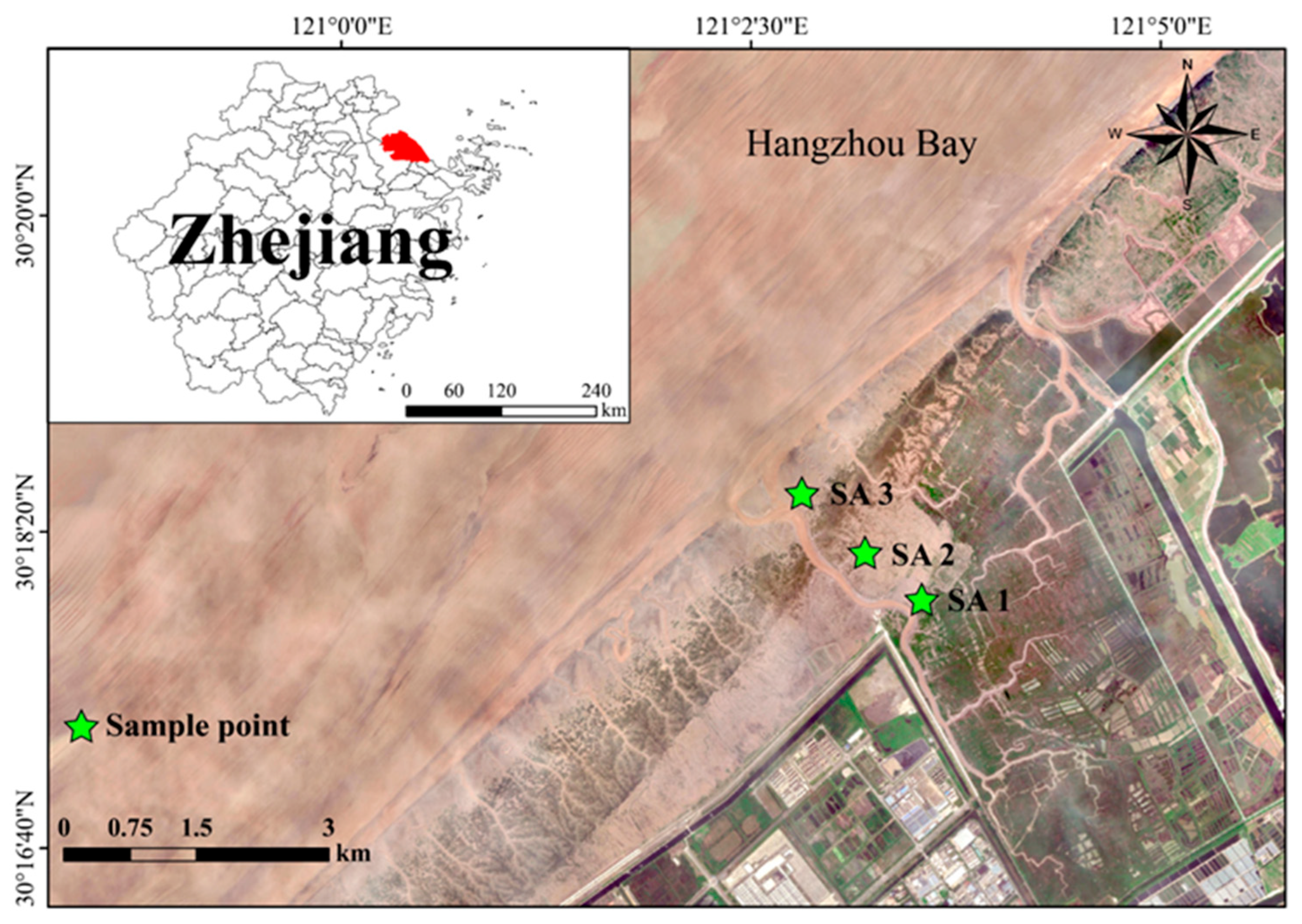 Diversity 17 00473 g001