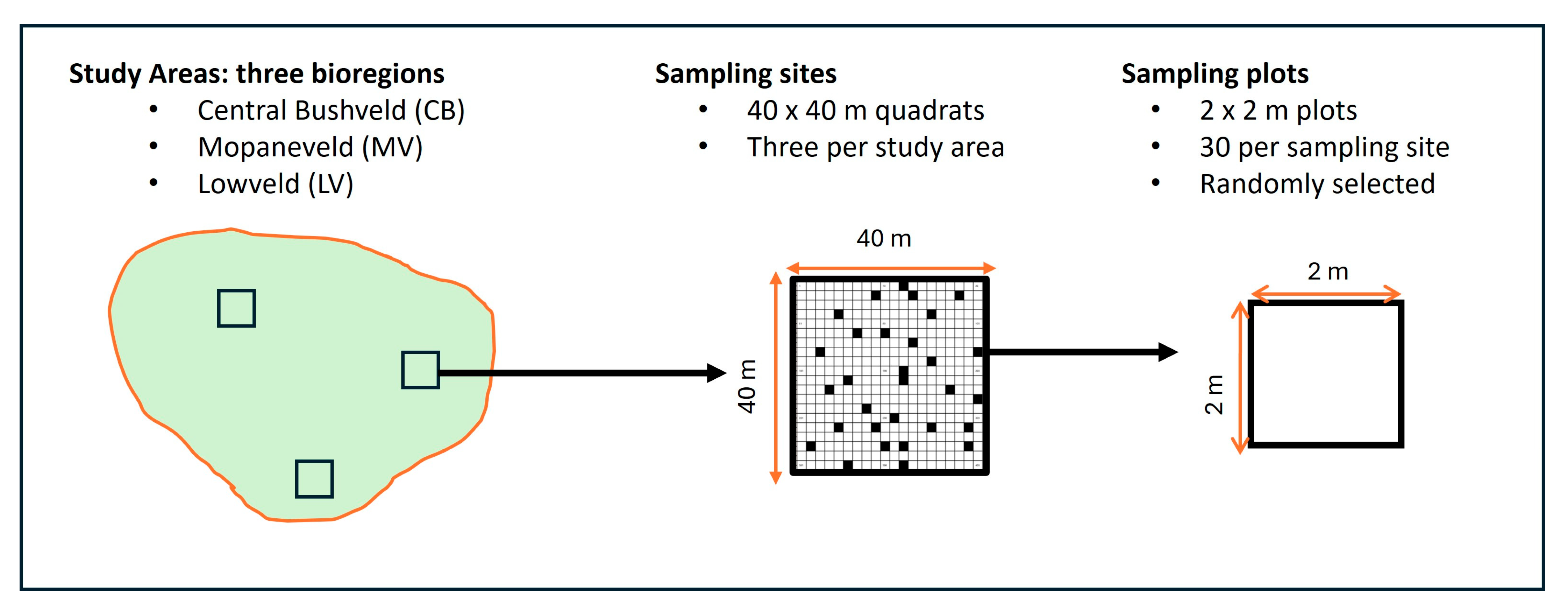 Diversity 17 00475 g001 Diversity 17 00475 g001