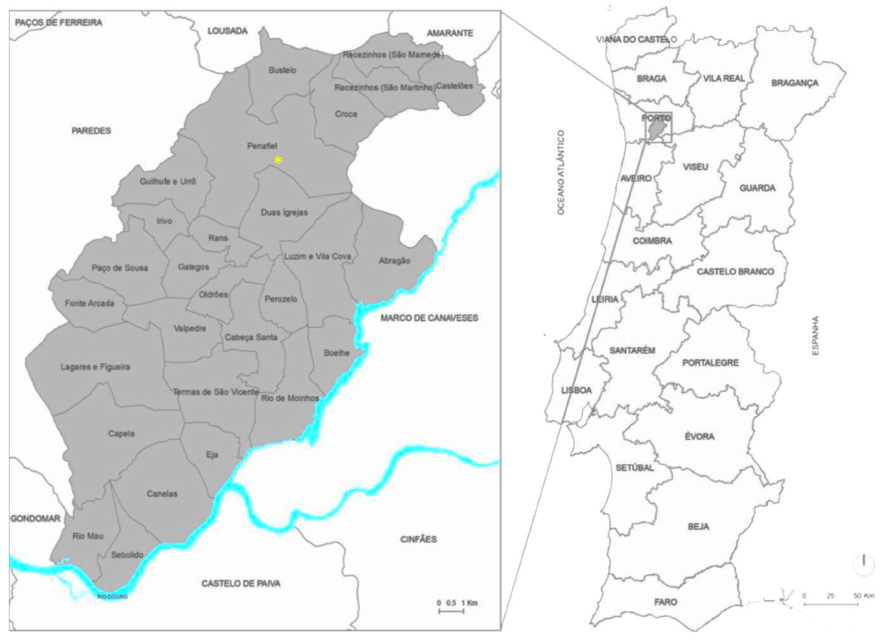 Diversity 17 00486 g001