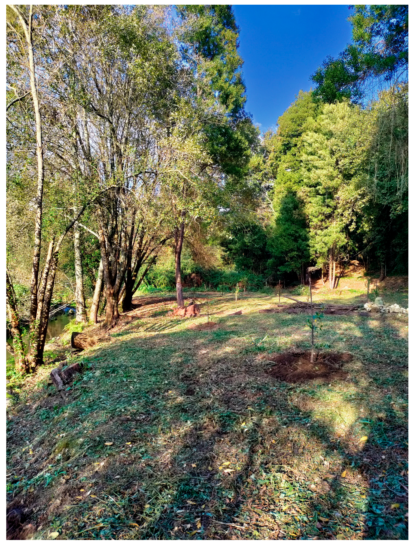 Diversity 17 00486 g009