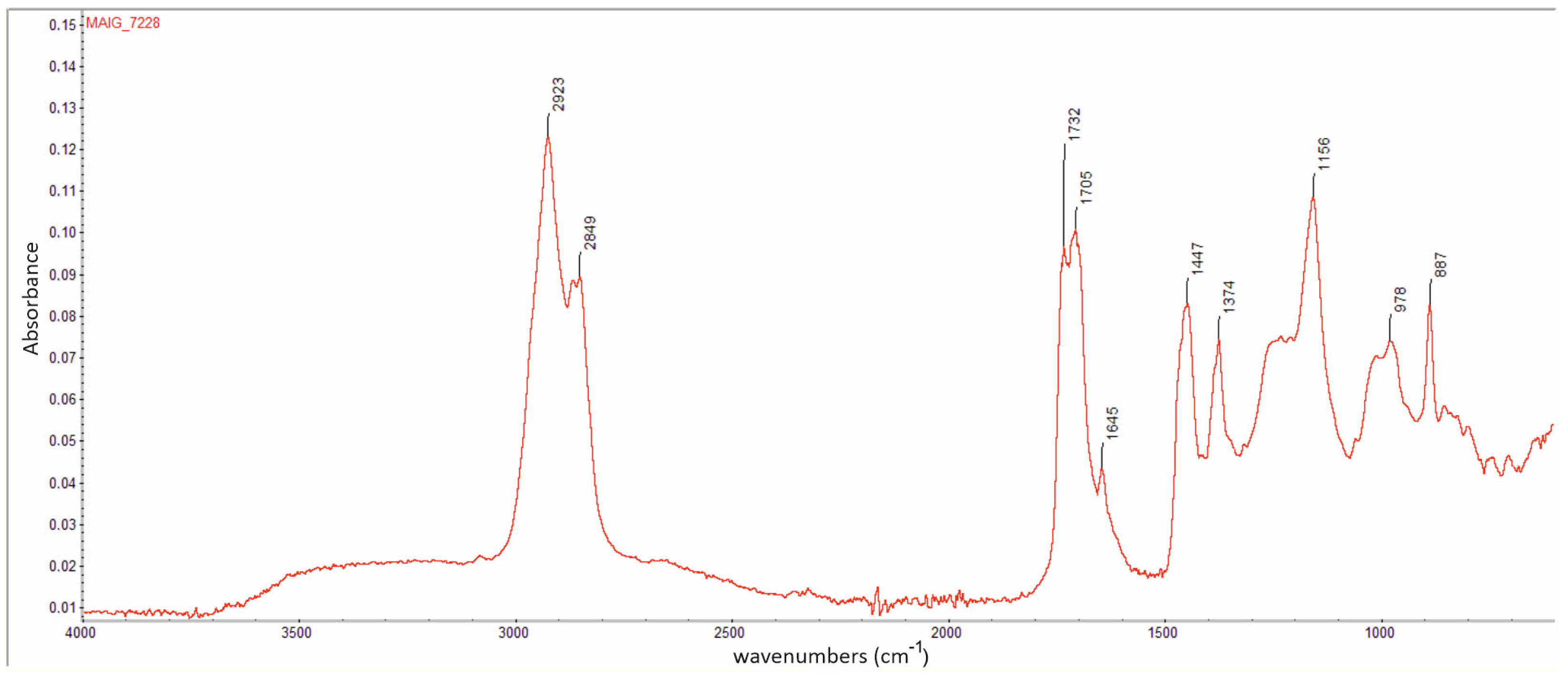Diversity 17 00487 g001