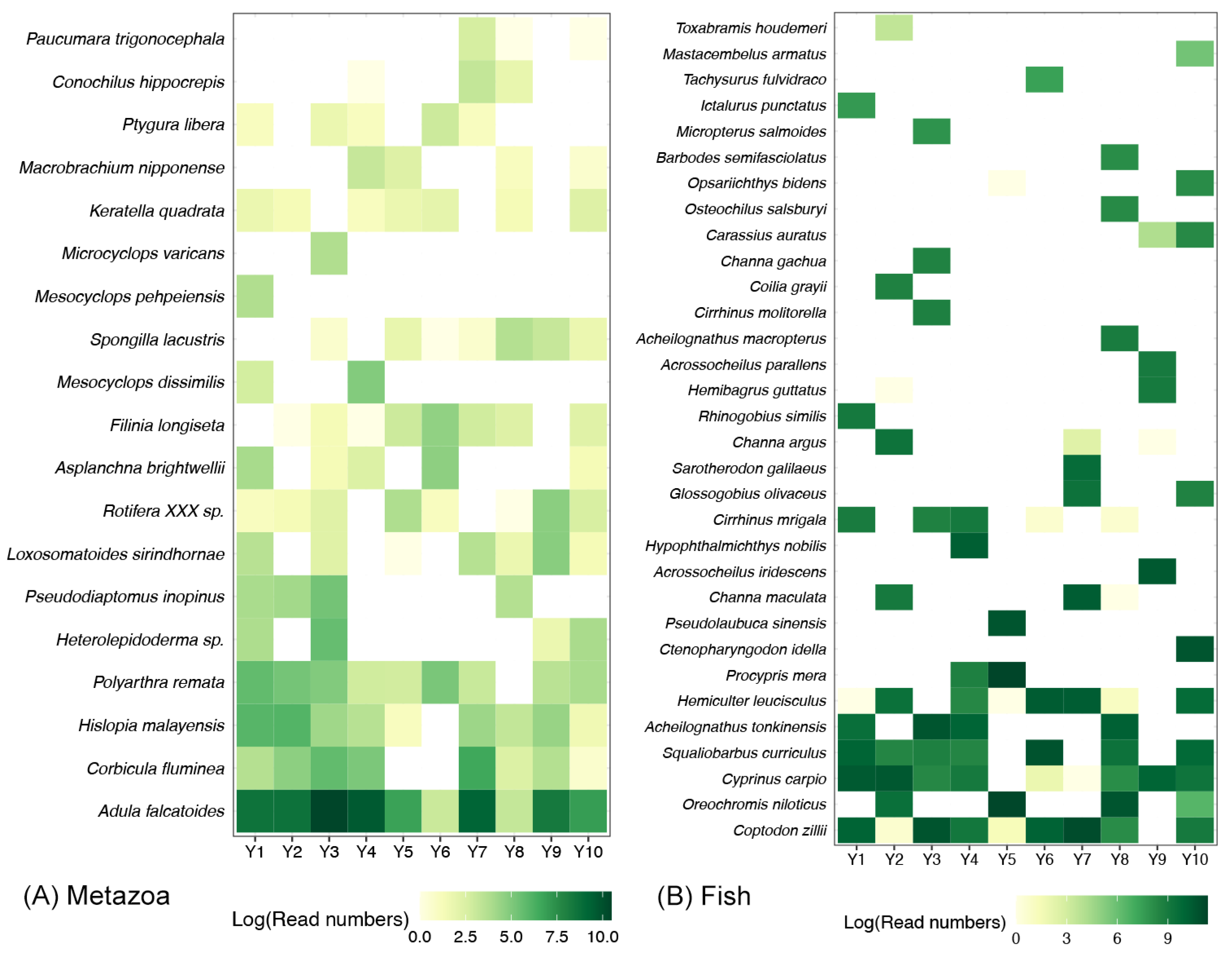 Diversity 17 00488 g003