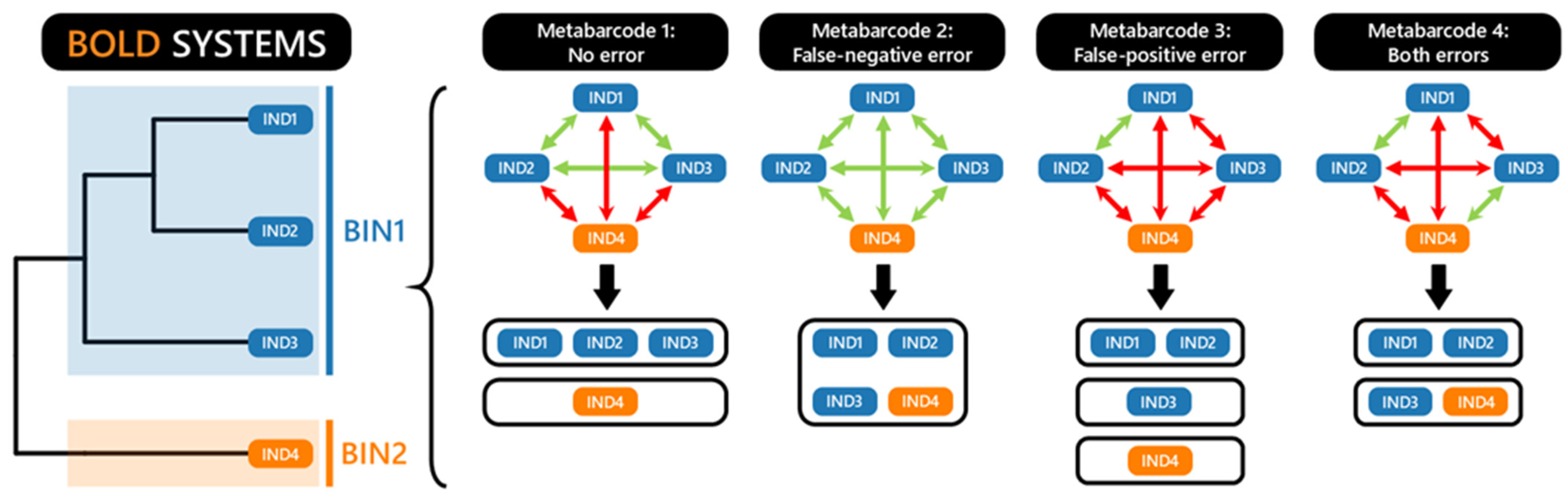 Diversity 17 00495 g002