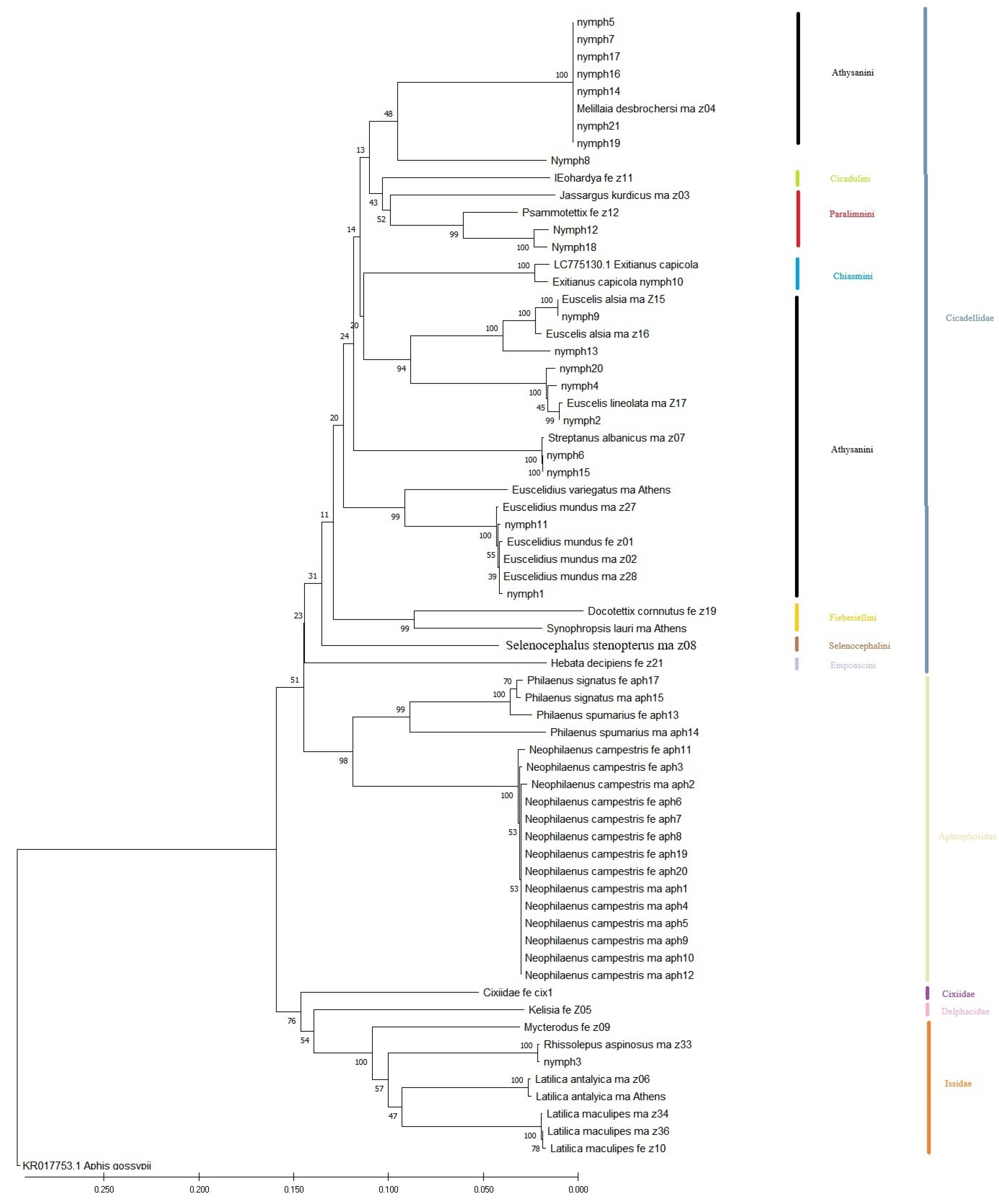 Diversity 17 00496 g002 Diversity 17 00496 g002