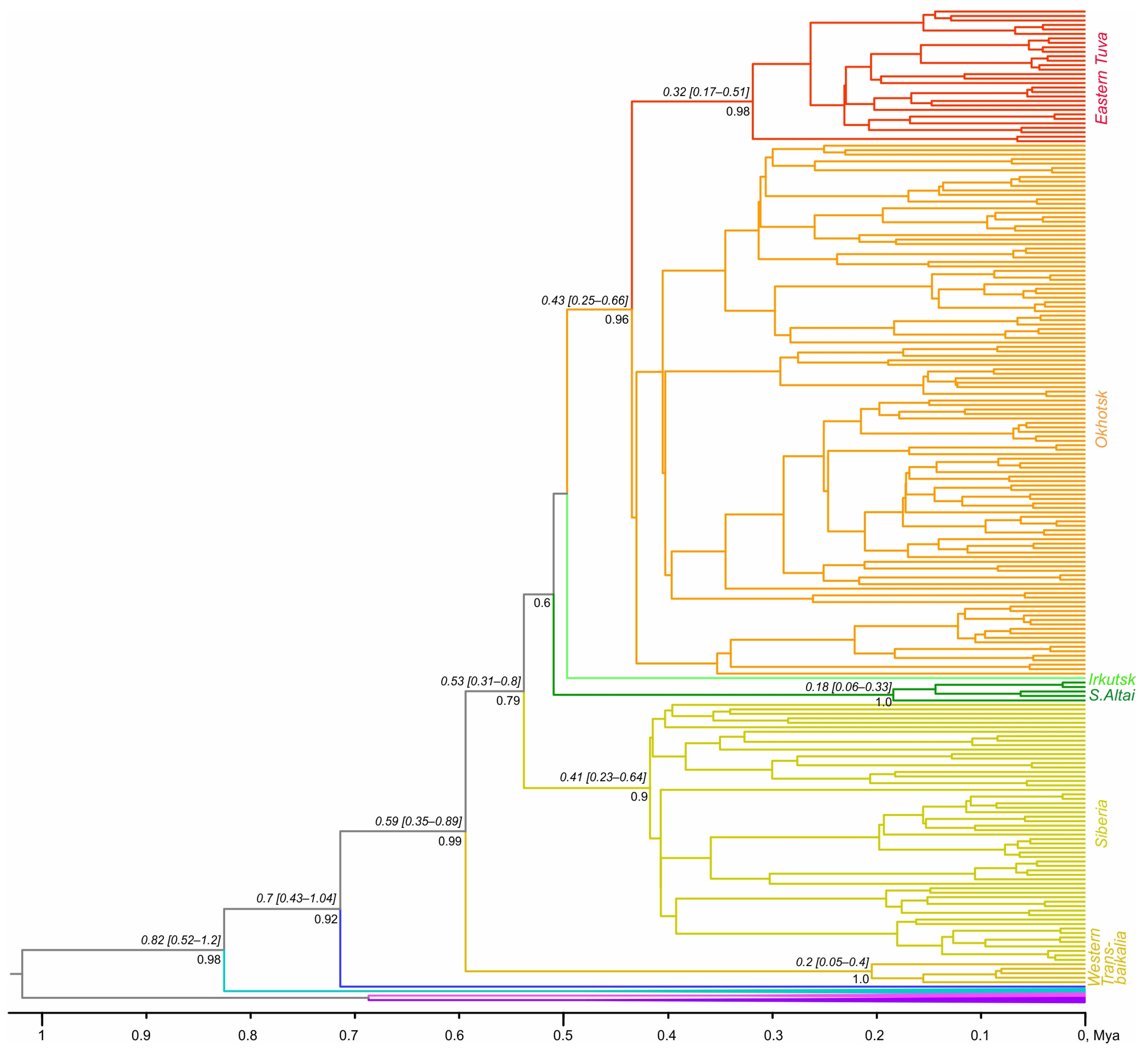 Diversity 17 00497 g003