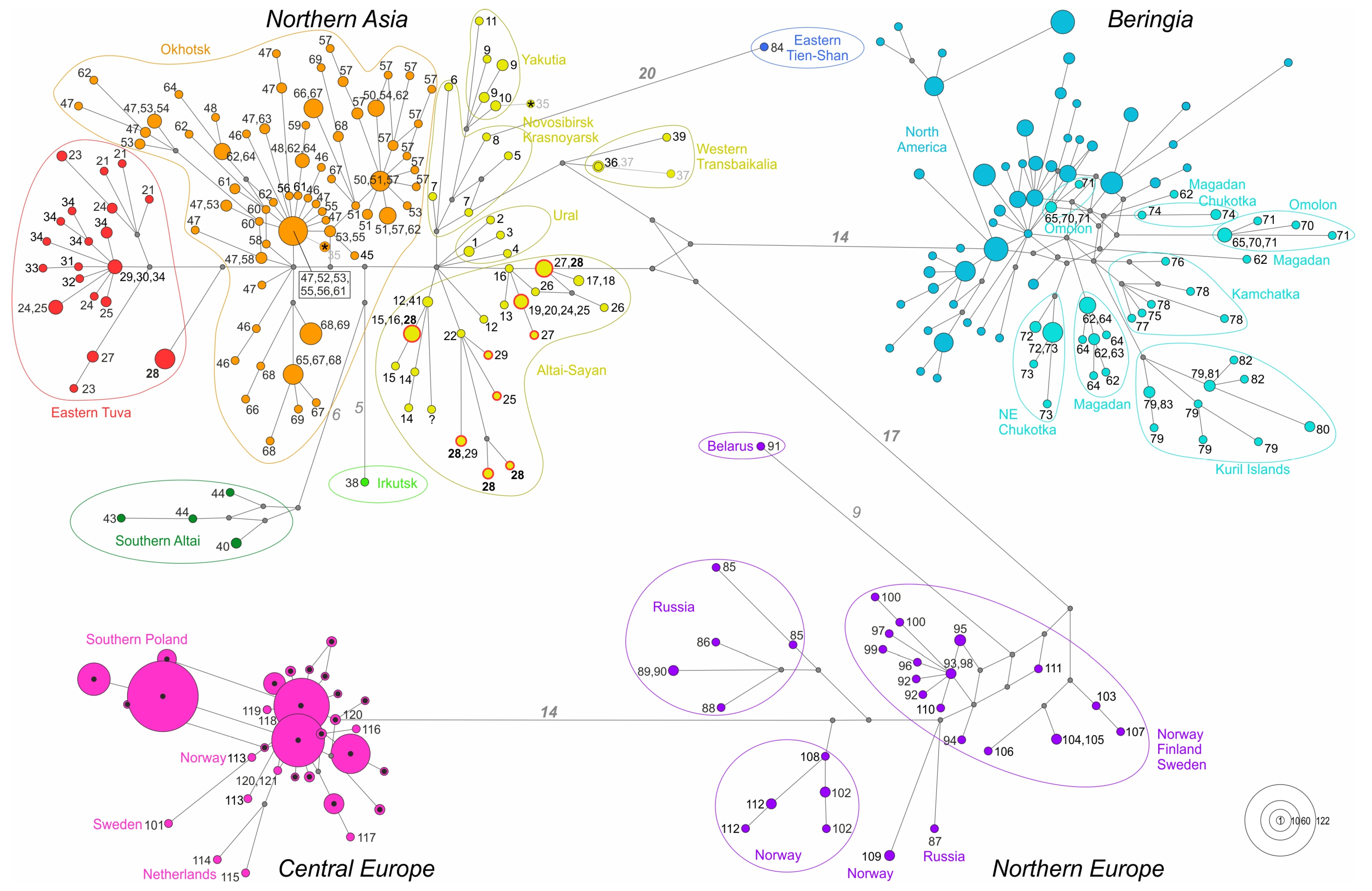 Diversity 17 00497 g004