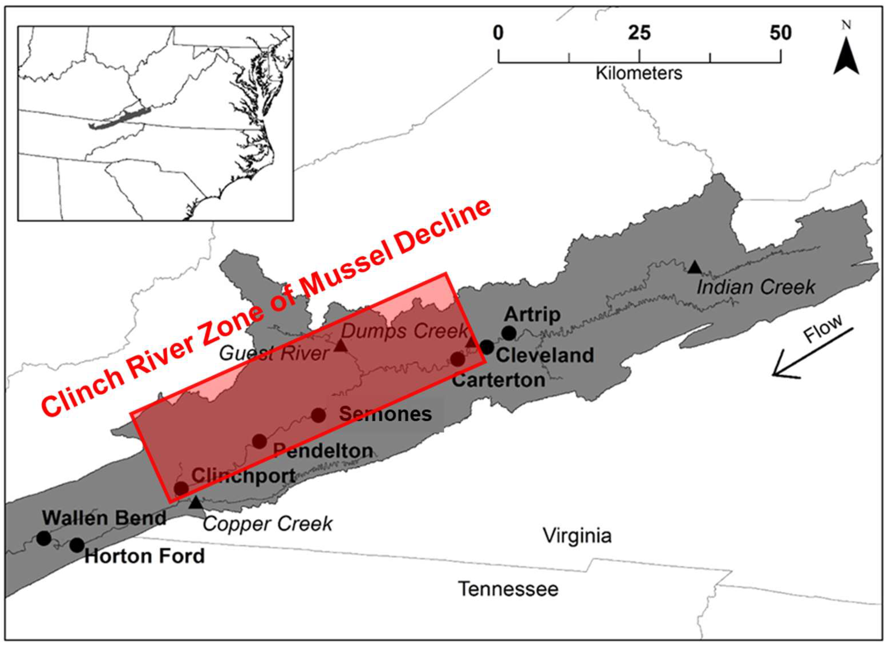 Diversity 17 00503 g001