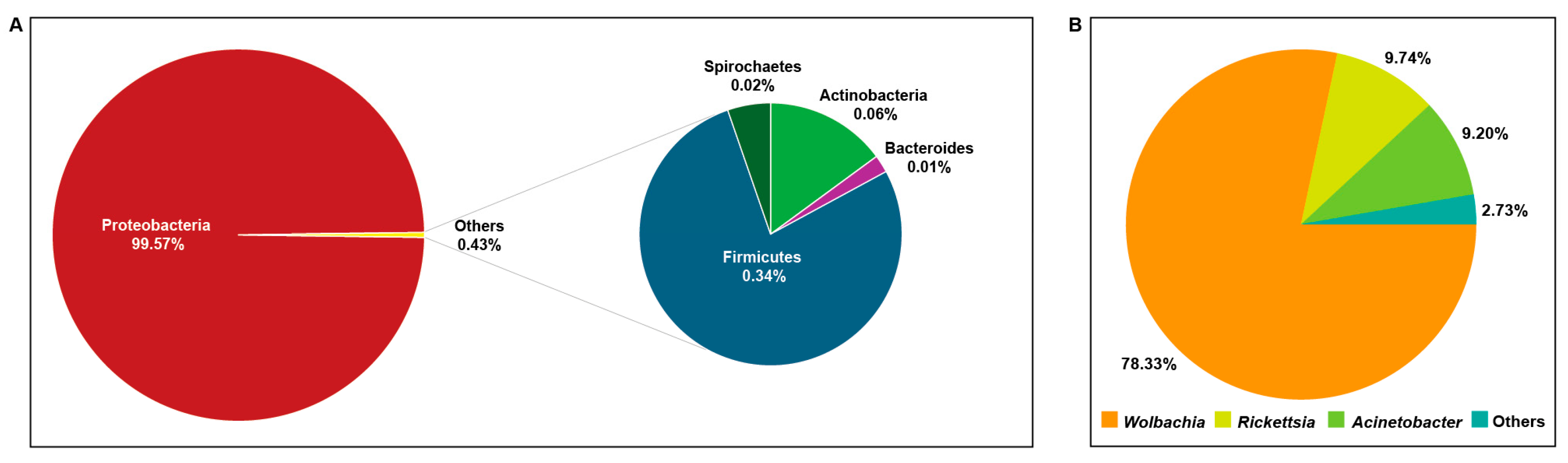 Diversity 17 00504 g002