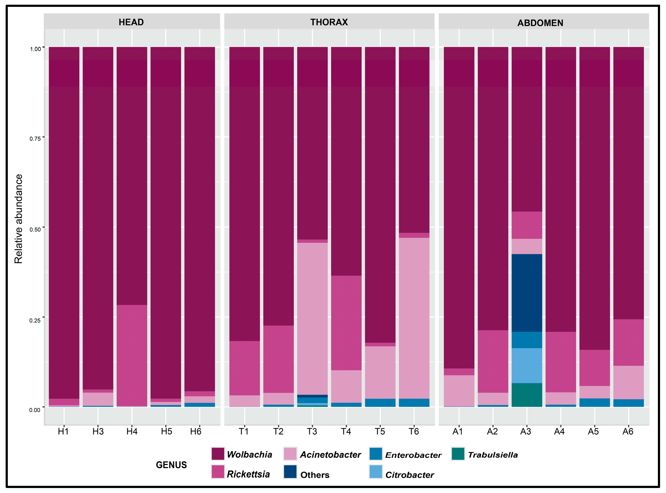 Diversity 17 00504 g003