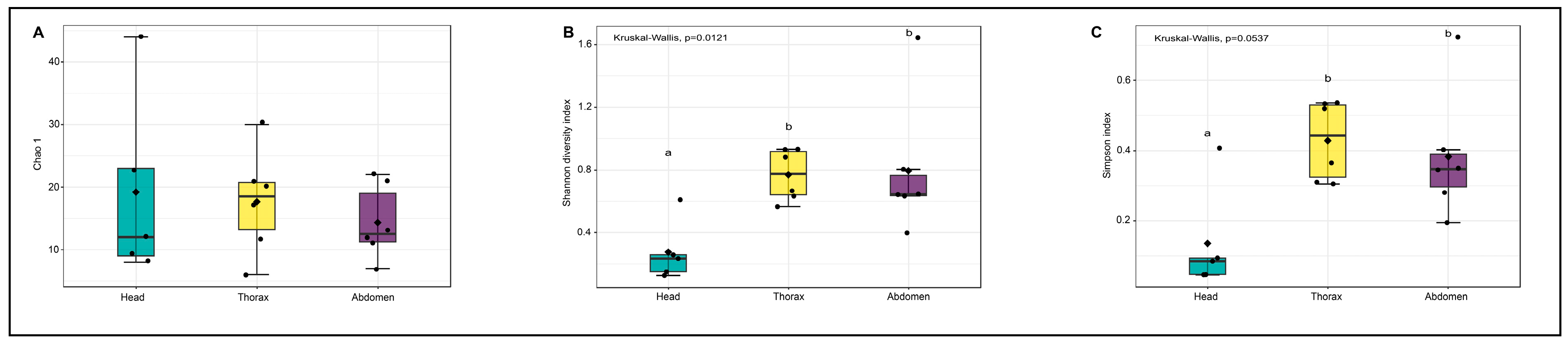 Diversity 17 00504 g004