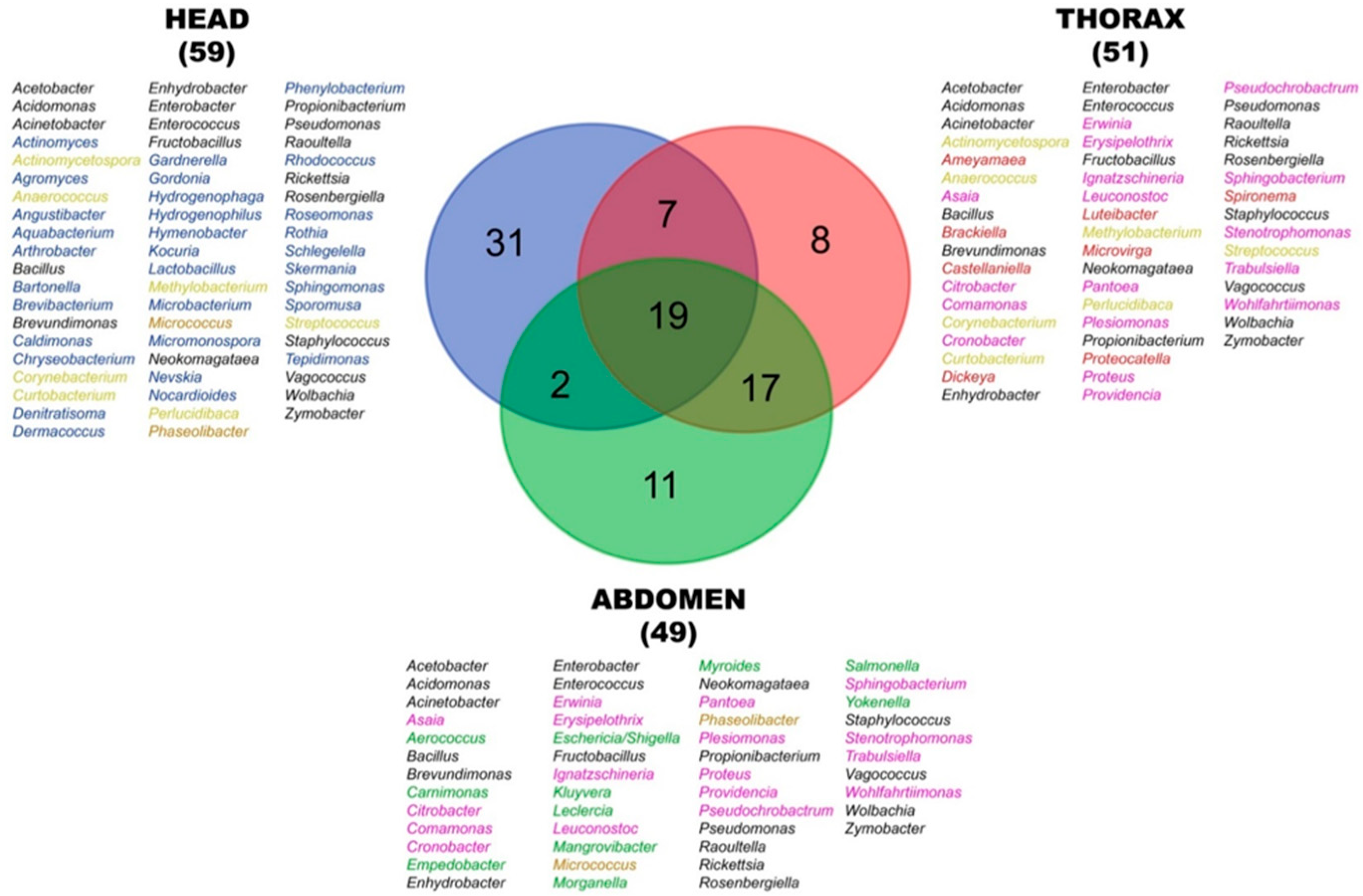 Diversity 17 00504 g006