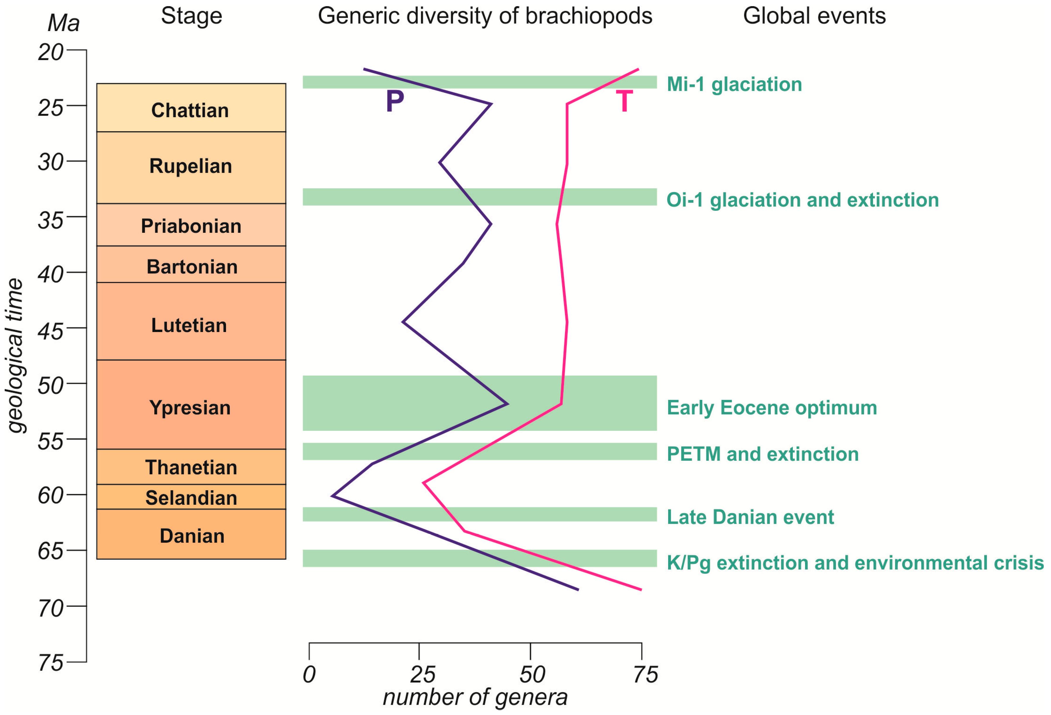 Diversity 17 00505 g005