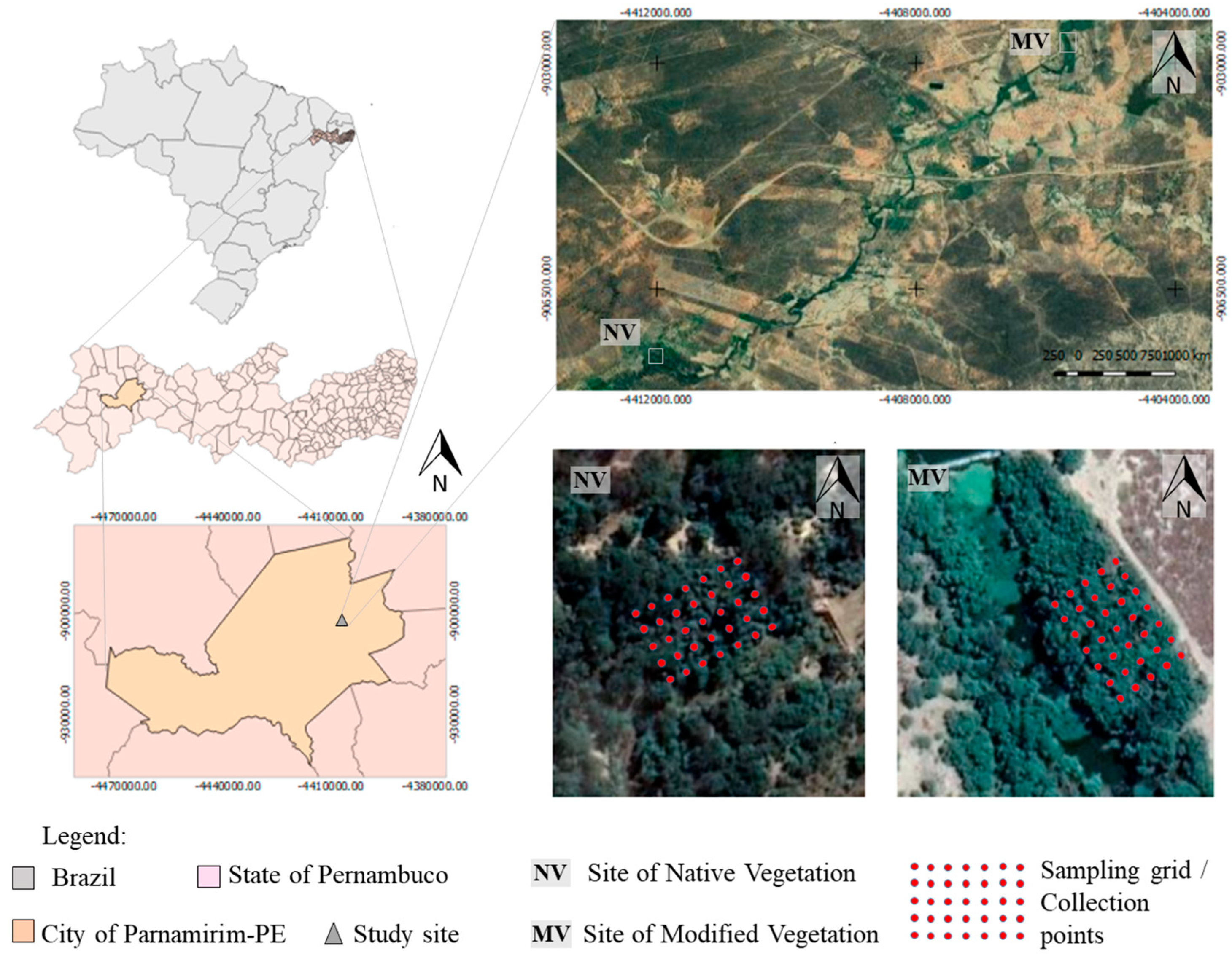 Diversity 17 00514 g001
