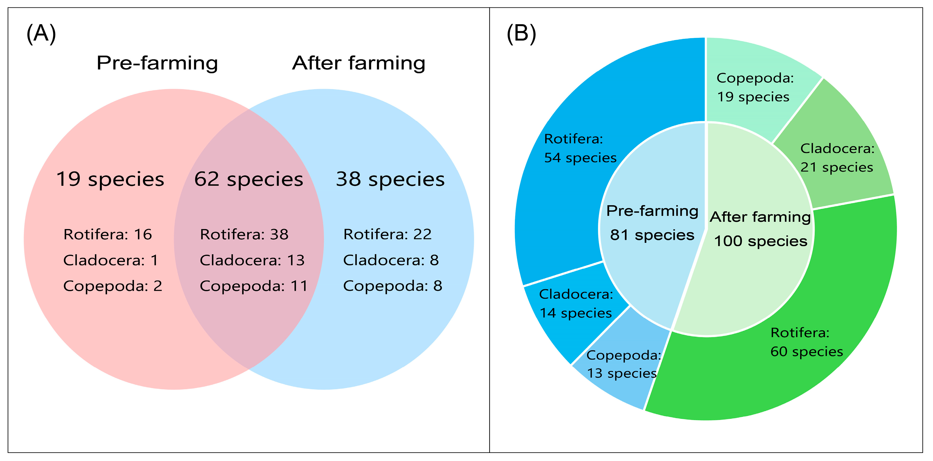 Diversity 17 00520 g002
