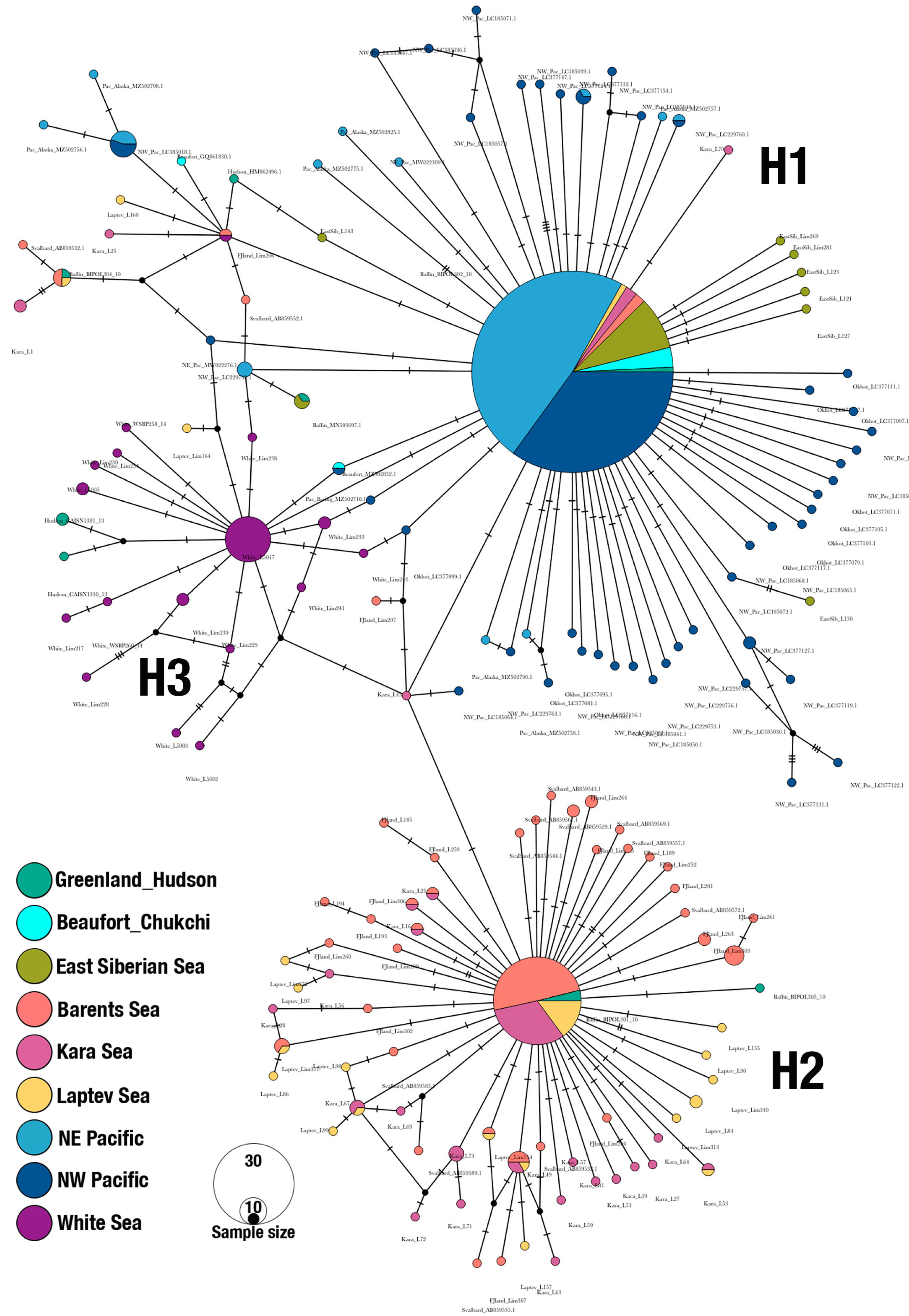 Diversity 17 00522 g003