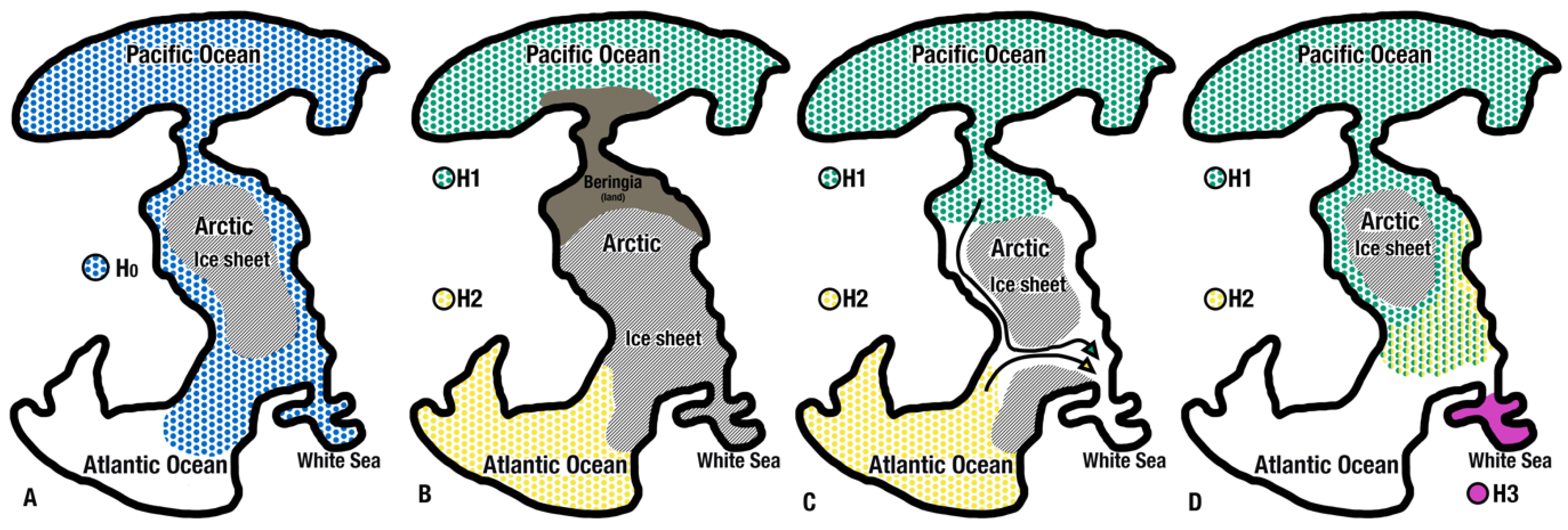 Diversity 17 00522 g006