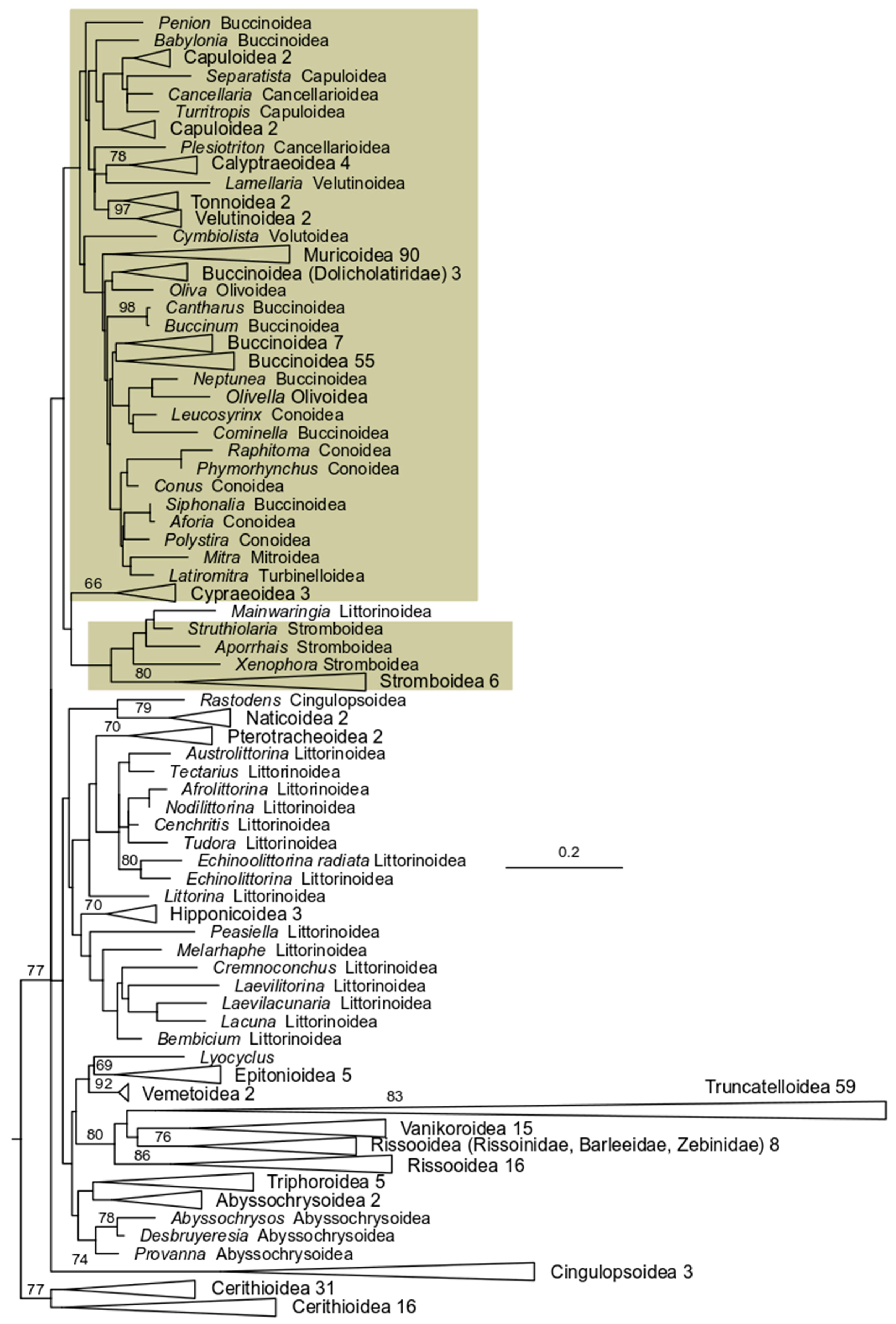Diversity 17 00524 g001
