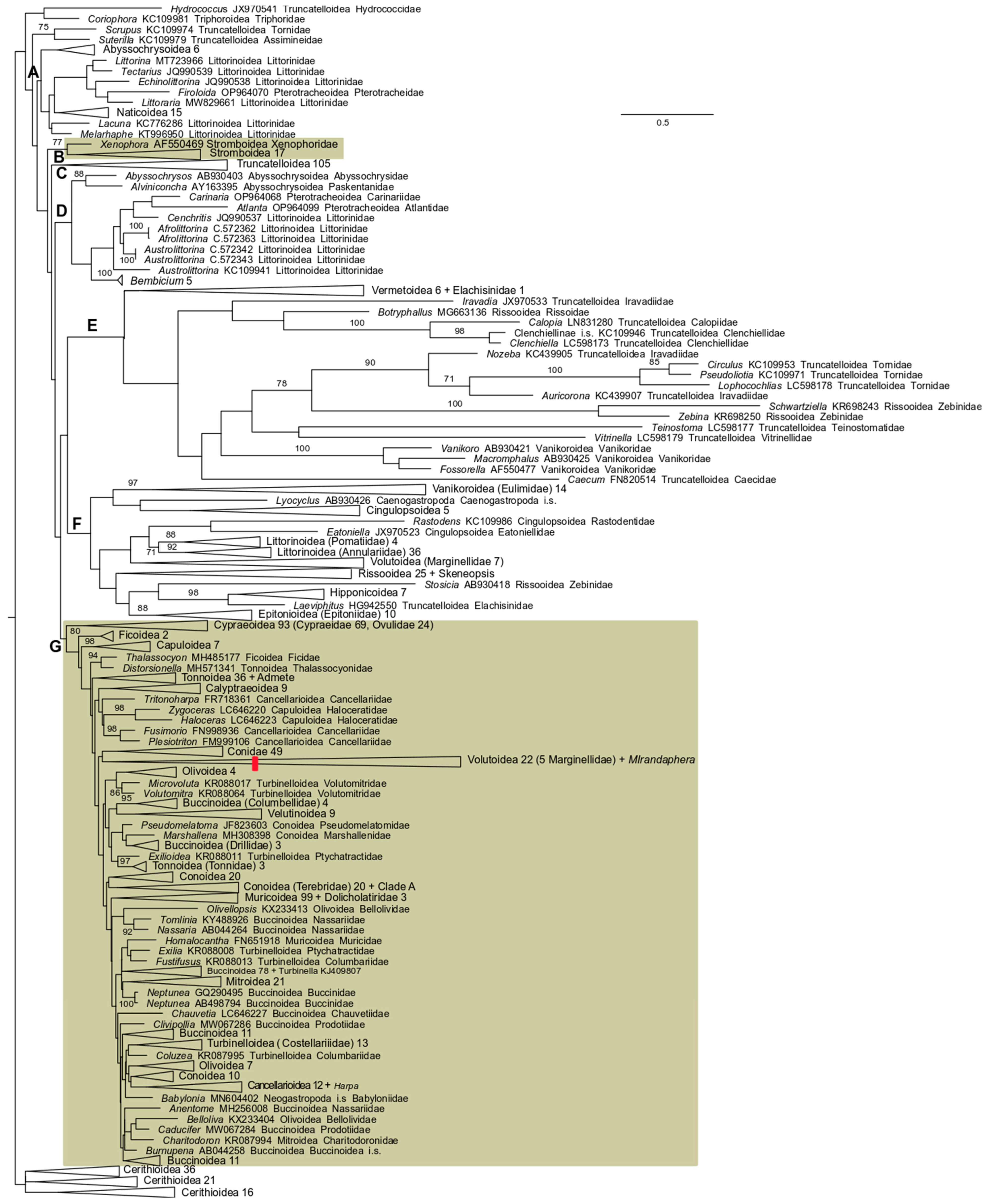 Diversity 17 00524 g002